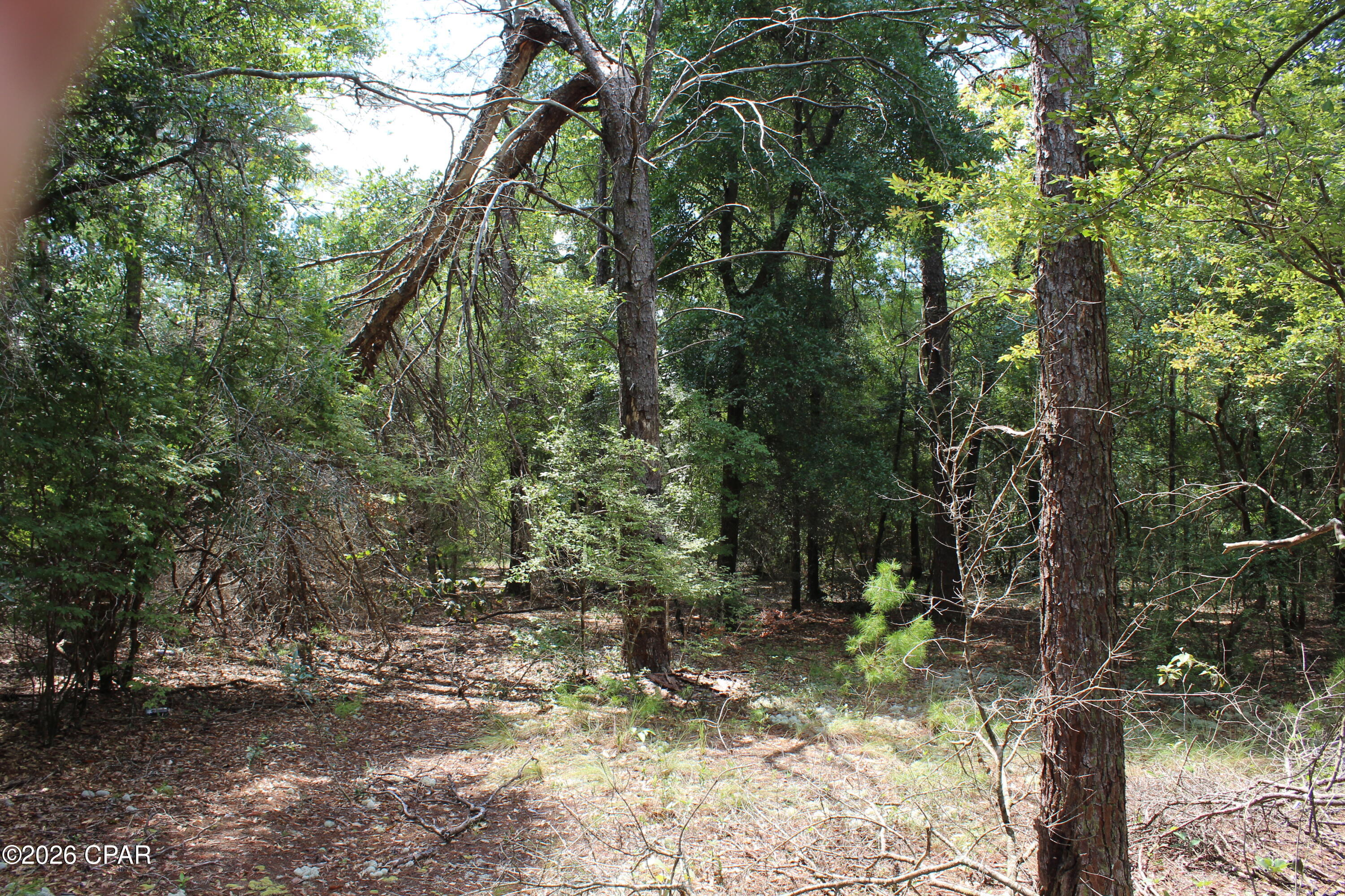 West Orange Crest - Land