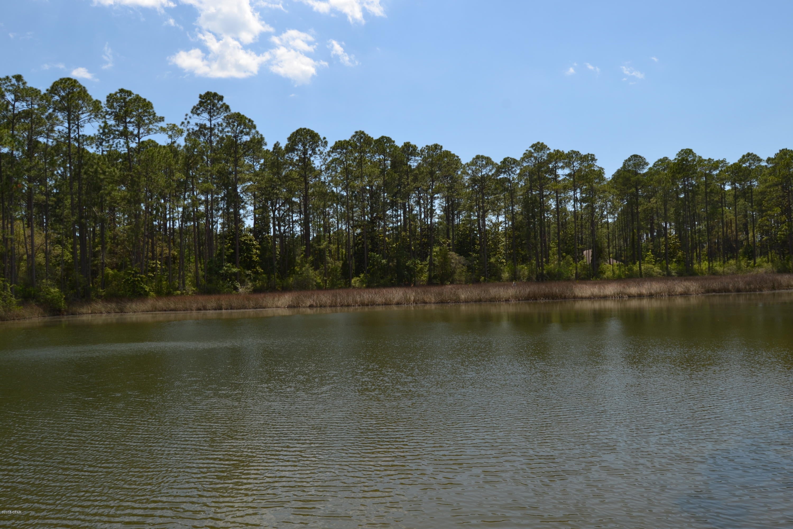 Laird Point - Land