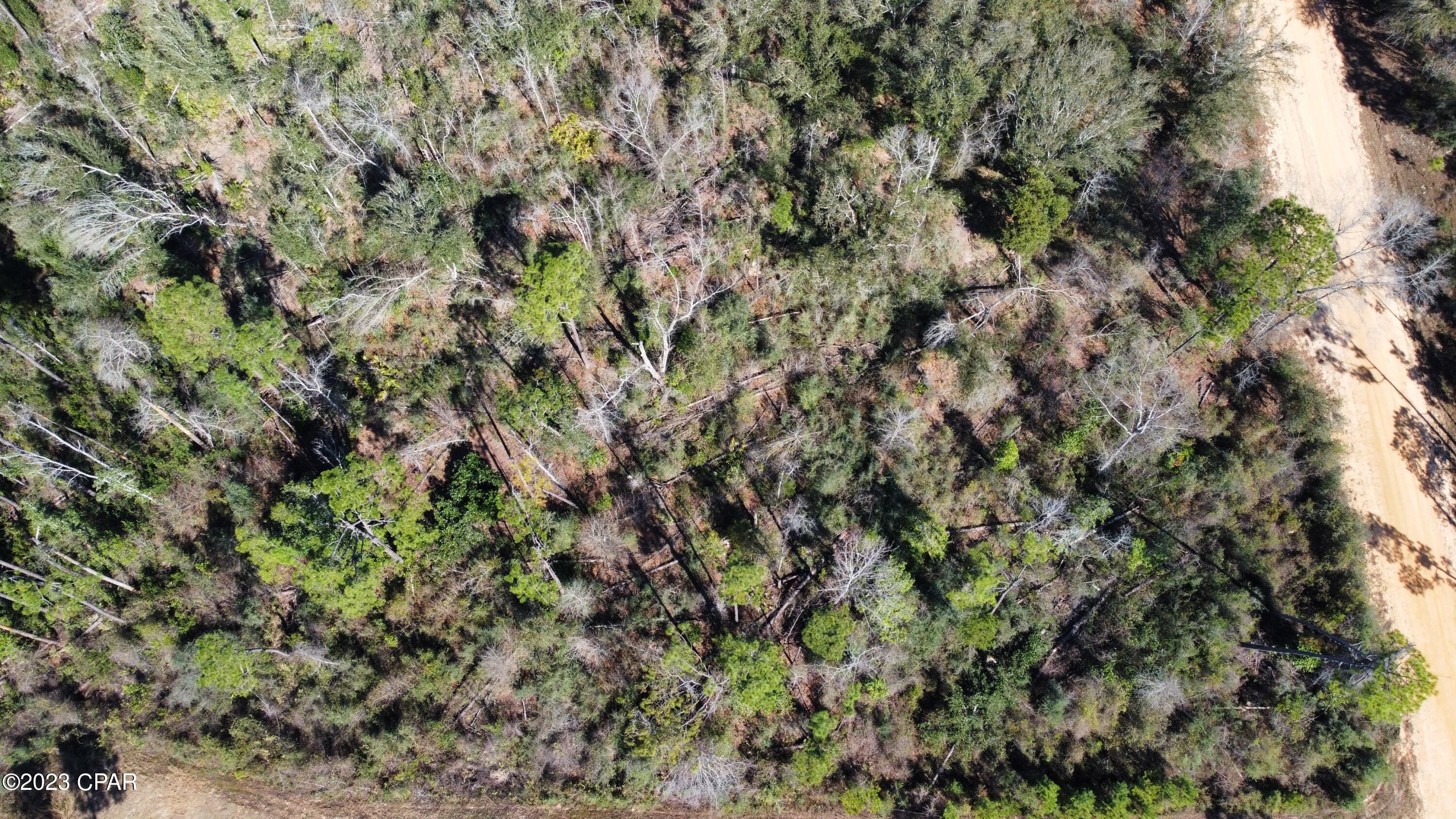 Compass Lake Hills Unit 1 - Land