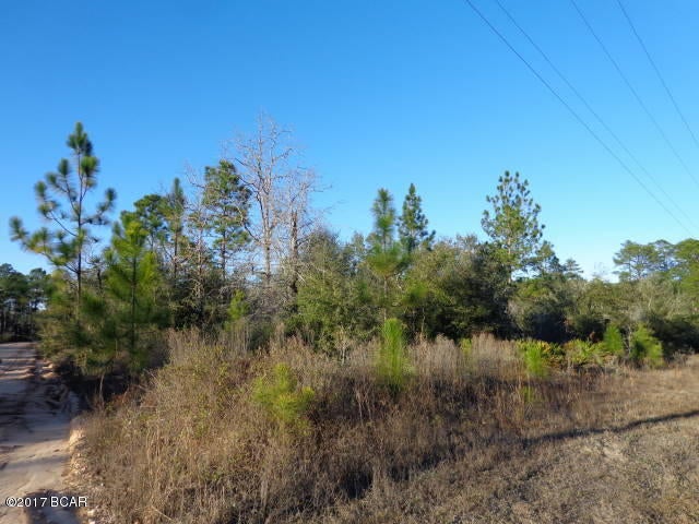 Wooded lot with two road access. Appears to be high and dry. Mobile Homes welcomed.