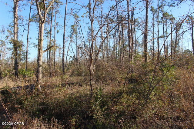 Wooded lot located just east of Hwy 231 in Fountain.  30 minute drive MOL south to Panama City to Beaches.  North to I-10. Located in Flood Zone X