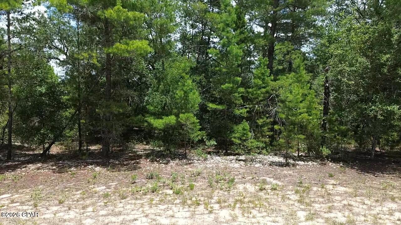 Sunny Hills Unit 2 - Land