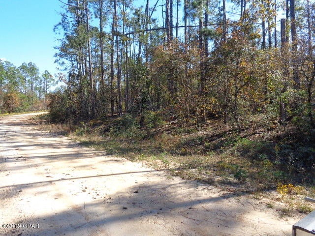 GREAT  PRICE  ON  LARGE  CORNER  LOT  HIGH  AND DRY,  READY  TO BUILD ON.  PROPERTY  ONLY  APPROX.  1/2  MILE FROM  PAVED  ROAD.  GREAT  VIEW  OF  ROLLING  HILLS.