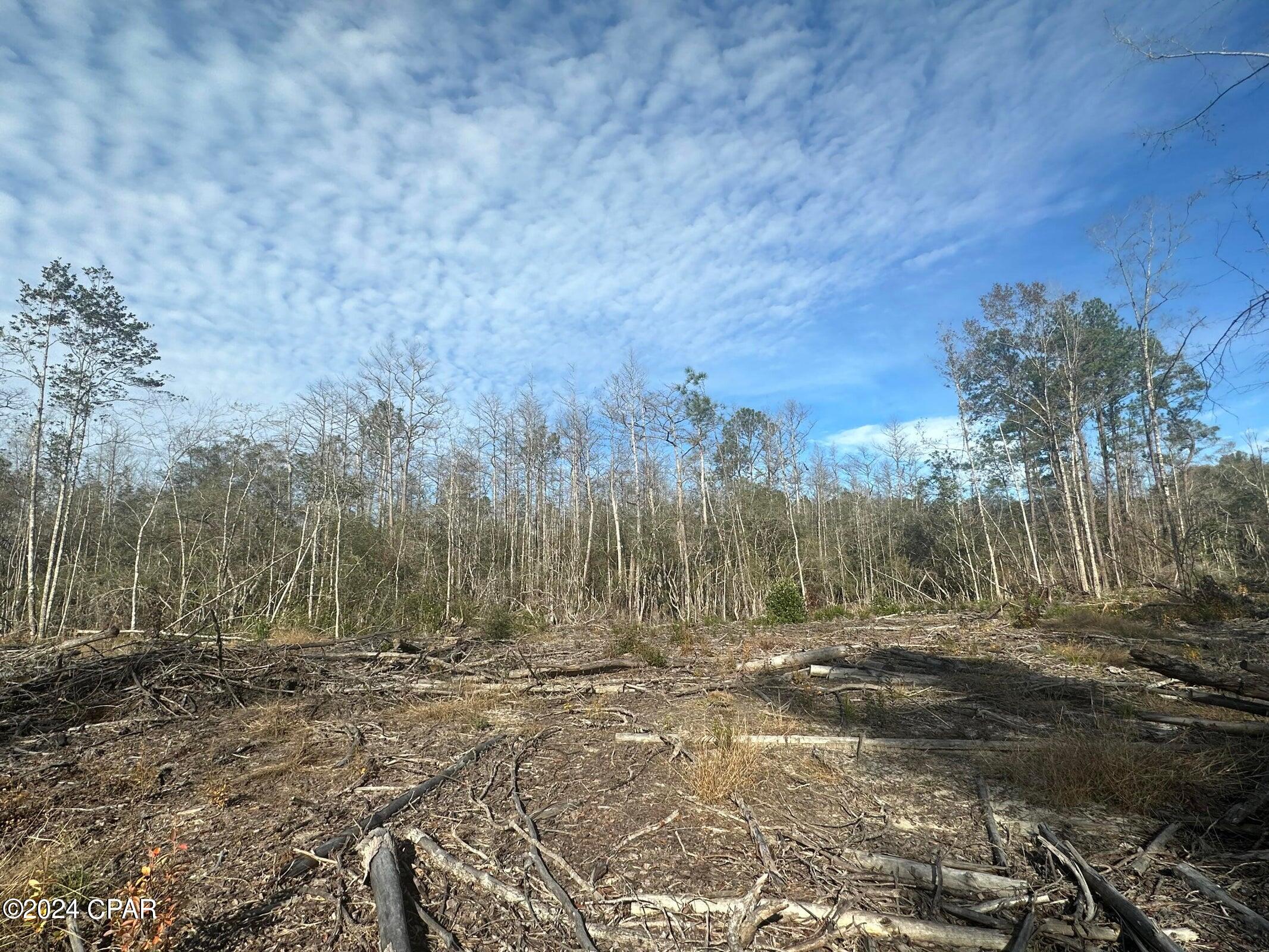 ***POSSIBLE HUNTING LEASE - DO NOT ENTER THE PROPERTY PRIOR TO SCHEDULING A SHOWING APPOINTMENT 24 Hours or more in advance***Great Location for  Hunters Paradise, either way you won't want to miss this opportunity! This Beautiful 37 +/- Acres of prime land. Prime quiet location 15 minutes away from Bonifay. I-10. This tract timber has recently been harvested and tract has been cut. Bring your hunting gear, Horses, and ATVS. LOCATION LOCATION!!!! This Property has Easy Access to Panama City Beaches, I-10, Hwy 79 and Hwy 90. DEED RESTRICTIONS. SEE DOCUMENTS