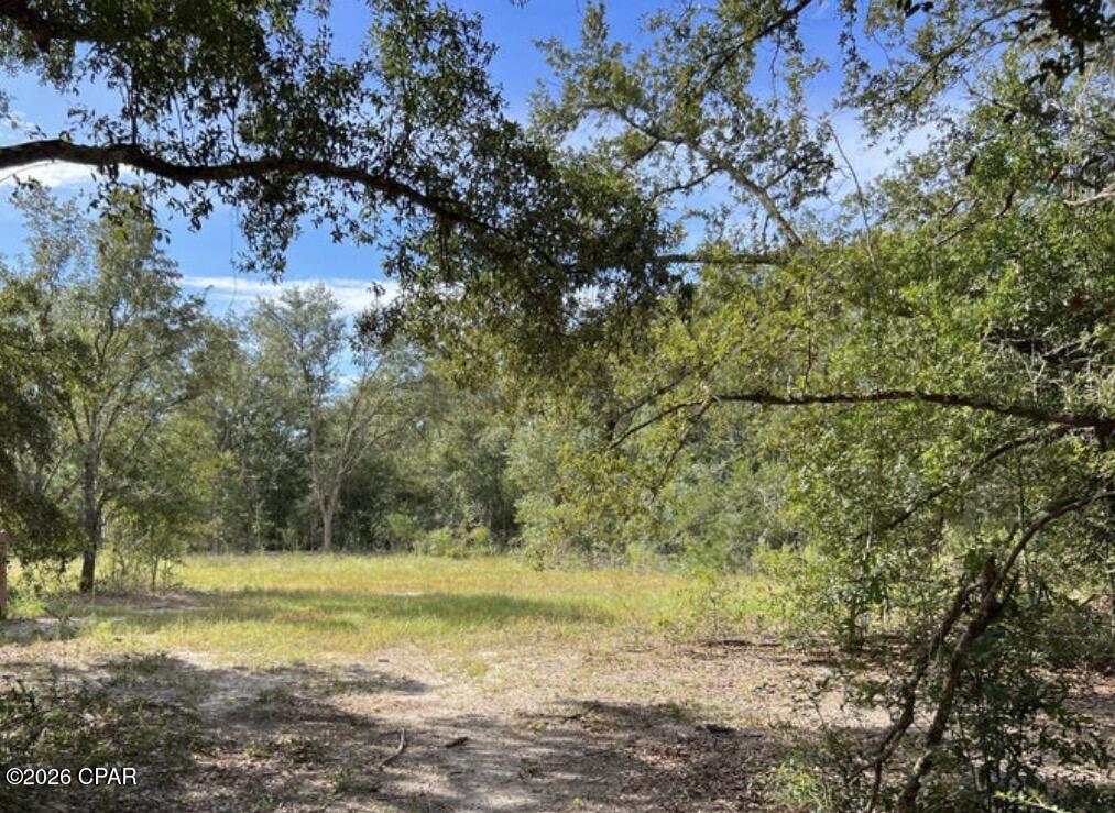 Compass Lake Hills Unit 1 - Land