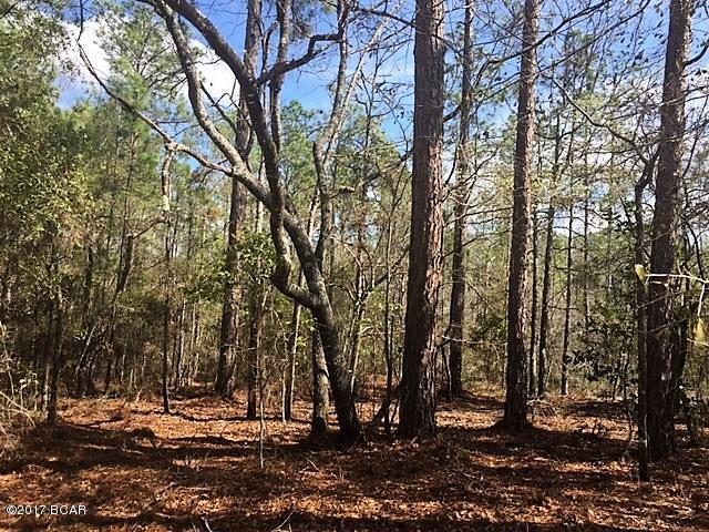 Lovely residential building lot in Compass Lake Hills.  The lot is scattered with trees native to the area.  It will make a beautiful homesite!  Here at Compass Lake Hills you have numerous amenities some of which include access to two lakes, horseback riding, RV camping facilities, golf driving range, clubhouse facilities and more!