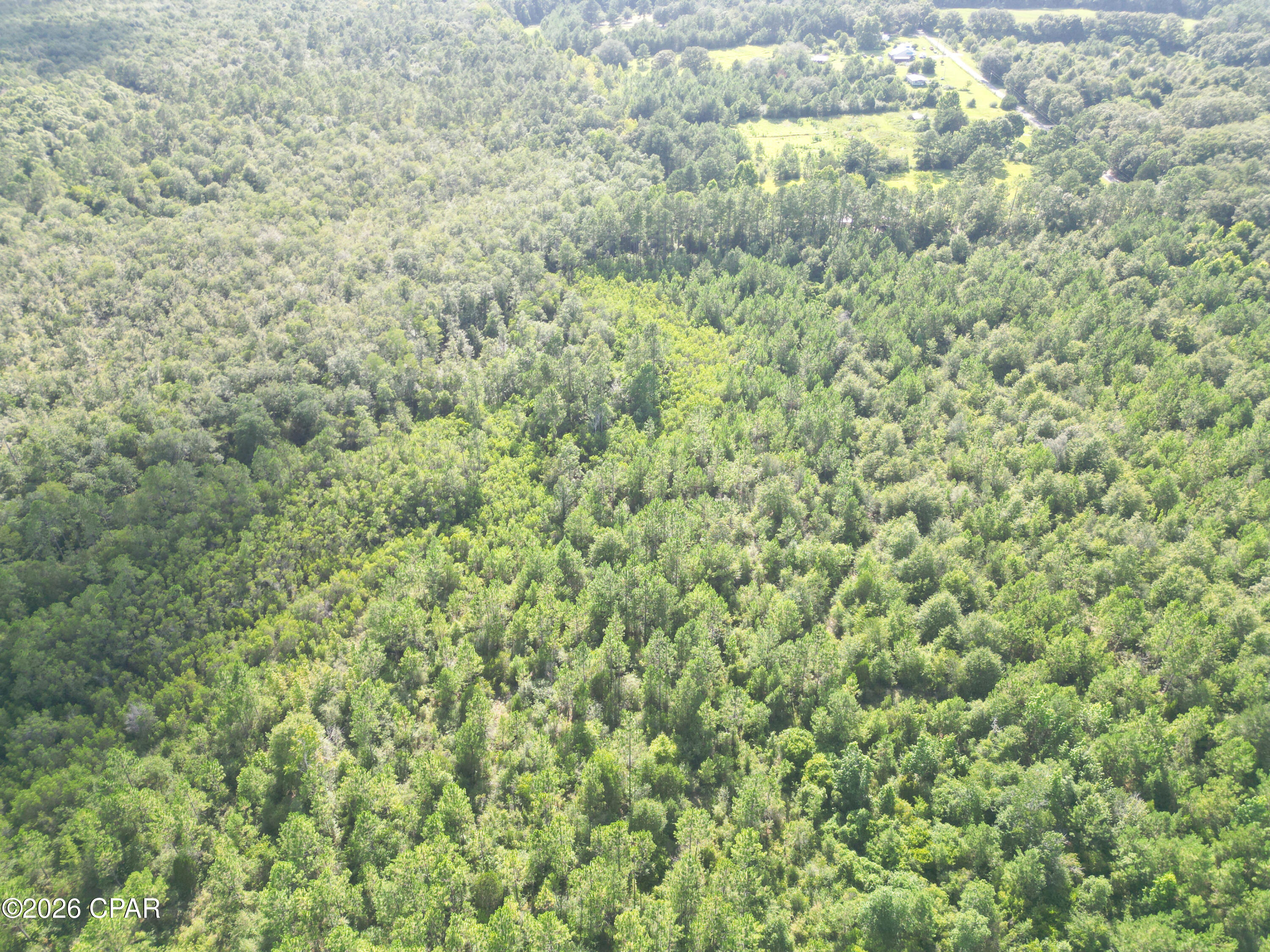 Pine Ridge Estates - Land