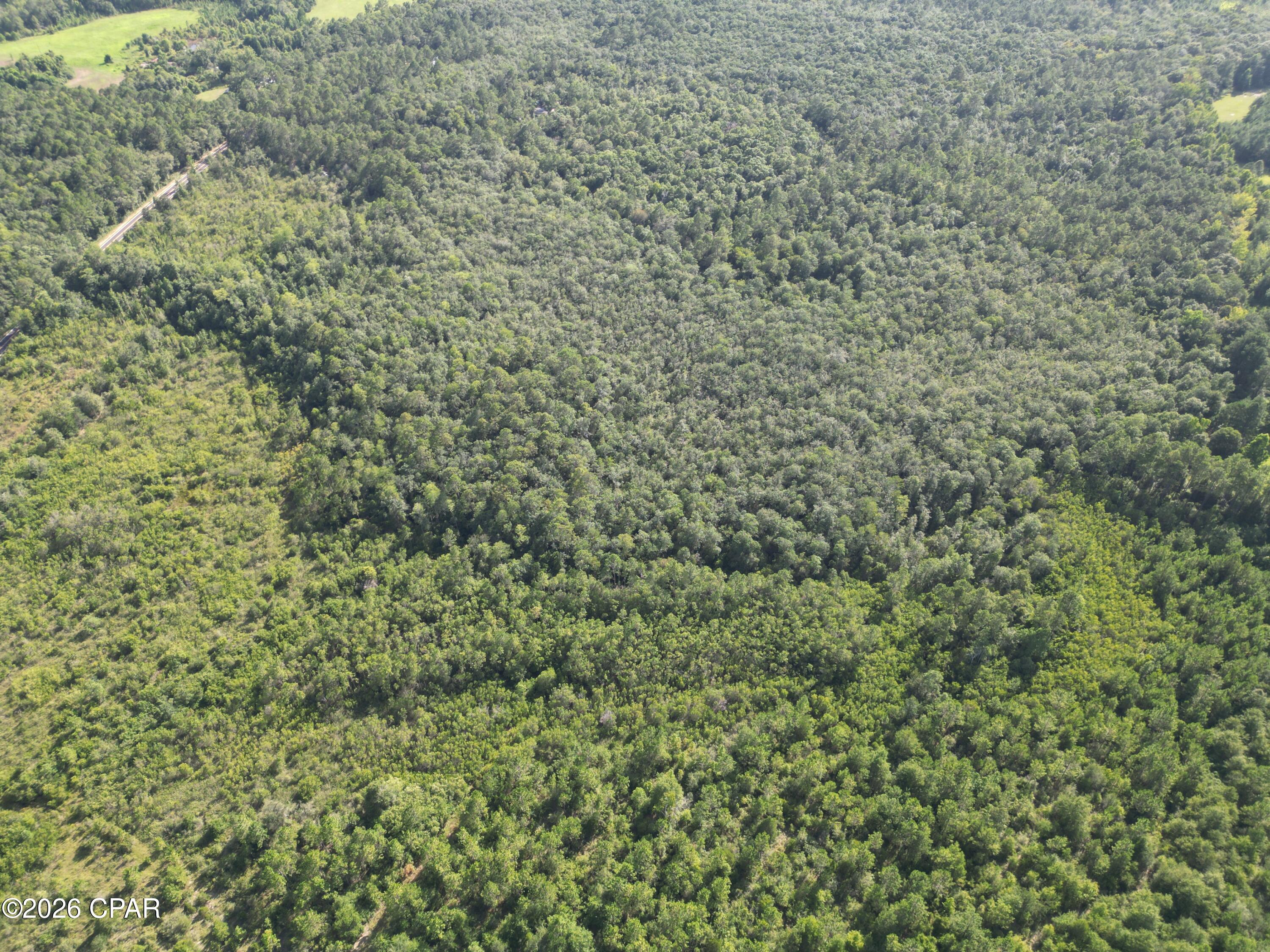 Pine Ridge Estates - Land