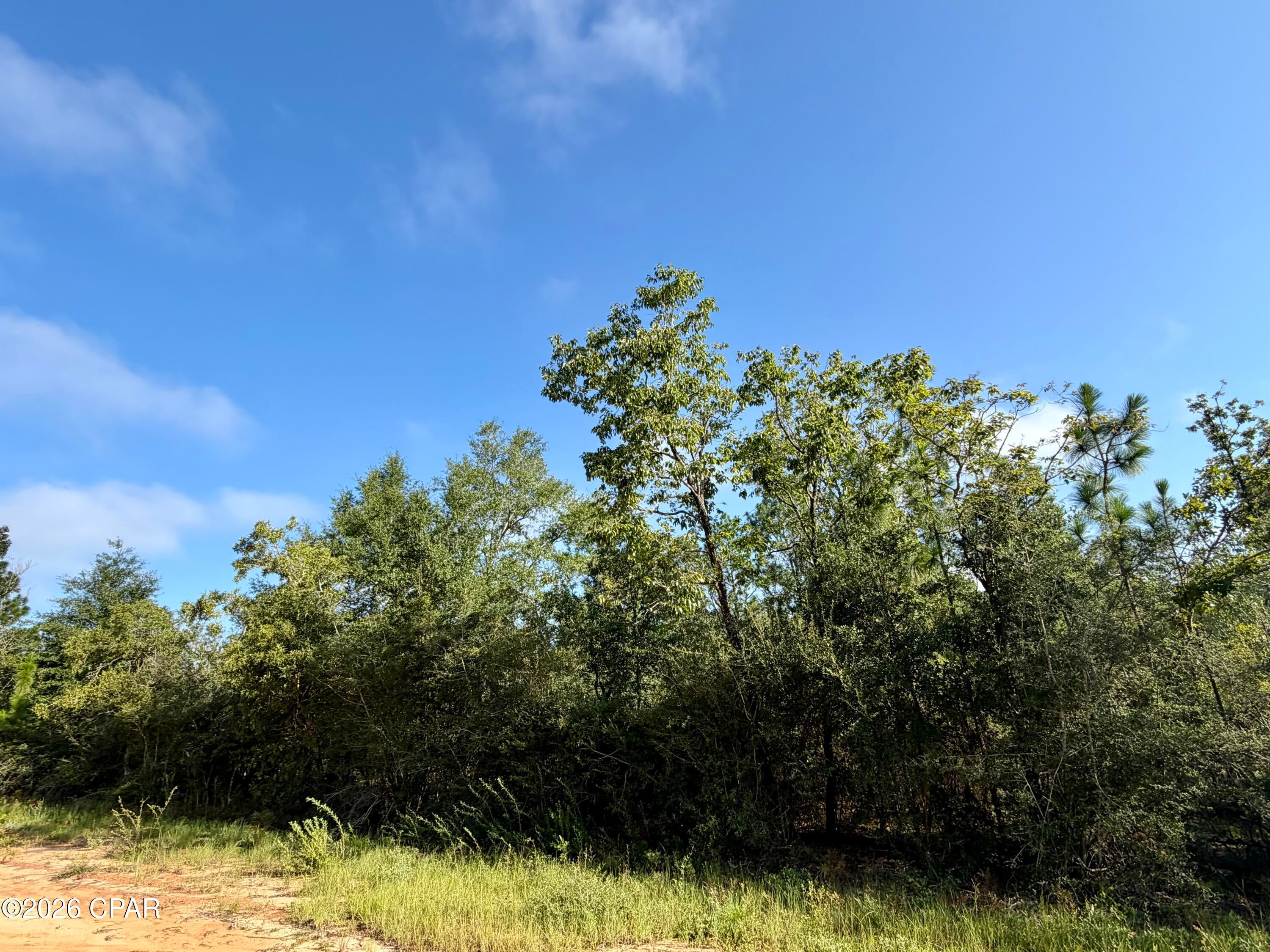 Two adjacent lots in Compass Lake in the Hills offer a wonderful opportunity for friends or family who want to live close by!  1.25 acres per lot for a total of 2.5 acres. Build your dream home or place a mobile home on these spacious lots and enjoy the peaceful surroundings and amenities of Compass Lake in the Hills. The voluntary POA is only $135 annually and offers access to a variety of amenities, including a community pool, cabins, RV park, tennis courts, community center, and more. Come enjoy the laid back lifestyle and outdoor recreation that Compass Lake in the Hills has to offer!