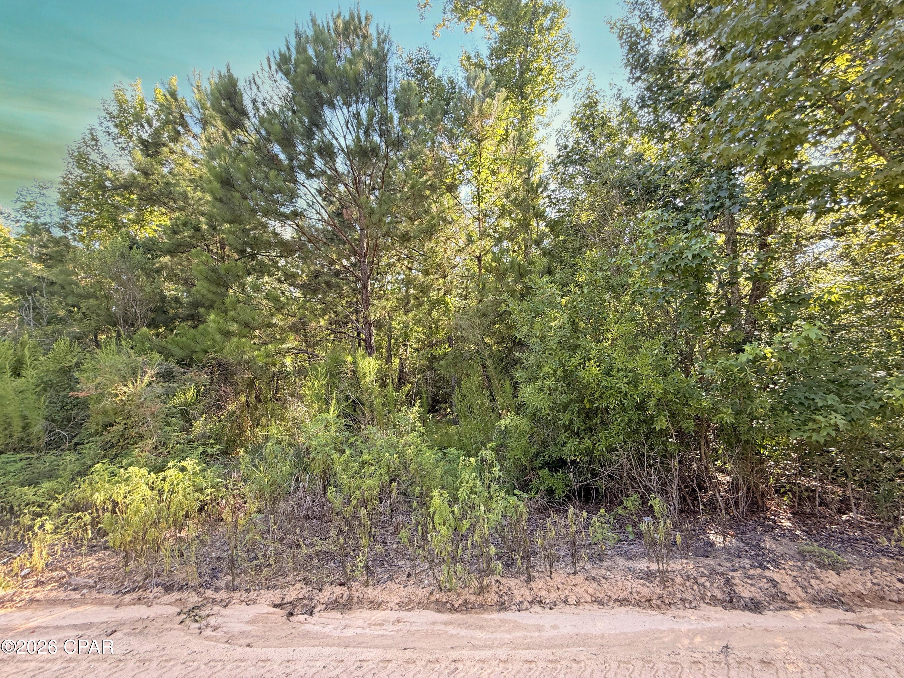 CURRENTLY UNDER CONTRACT, SELLER ACCEPTING BACKUP OFFERS. A rare opportunity to own over 4 acres of Old Florida charm! Once a cherished family homestead, this beautiful parcel is ready for its next chapter. The original wood-frame home was demolished in 2019, leaving behind a spacious homesite surrounded by mature trees and peaceful country scenery. Existing utilities are believed to be on the property; however, their location and condition are unknown and should be verified by the buyer. The property's picturesque pond offers the potential for your own private fishing spot, while just across the road you'll find convenient access to the Chipola River. Renowned for its crystal-clear waters and outstanding recreation, the river is a favorite destination for anglers seeking bream, bass, crappie, catfish, and shellcracker. Spend your days kayaking, boating, swimming, or simply taking in the natural beauty that makes this area so special. Whether you're dreaming of building your forever home, creating a private weekend retreat, or investing in a property surrounded by Florida's abundant outdoor recreation, this exceptional acreage offers the perfect blend of tranquility, adventure, and endless possibilities.