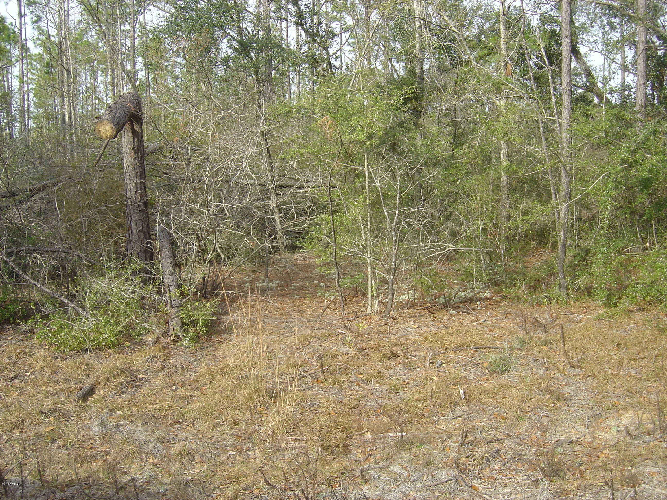Compass Lake Hills Unit 5 - Land