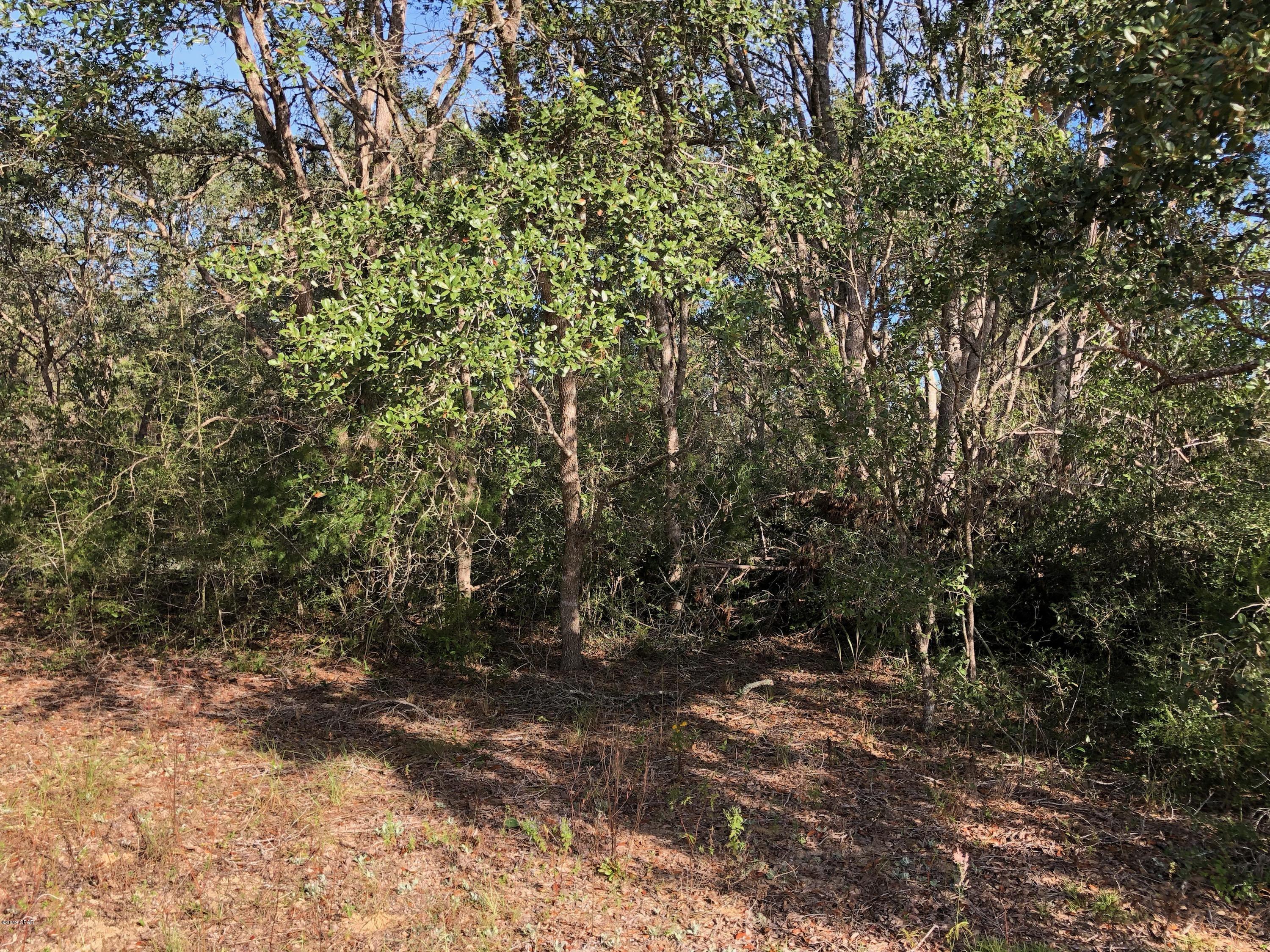 Compass Lake Hills Unit 1 - Land