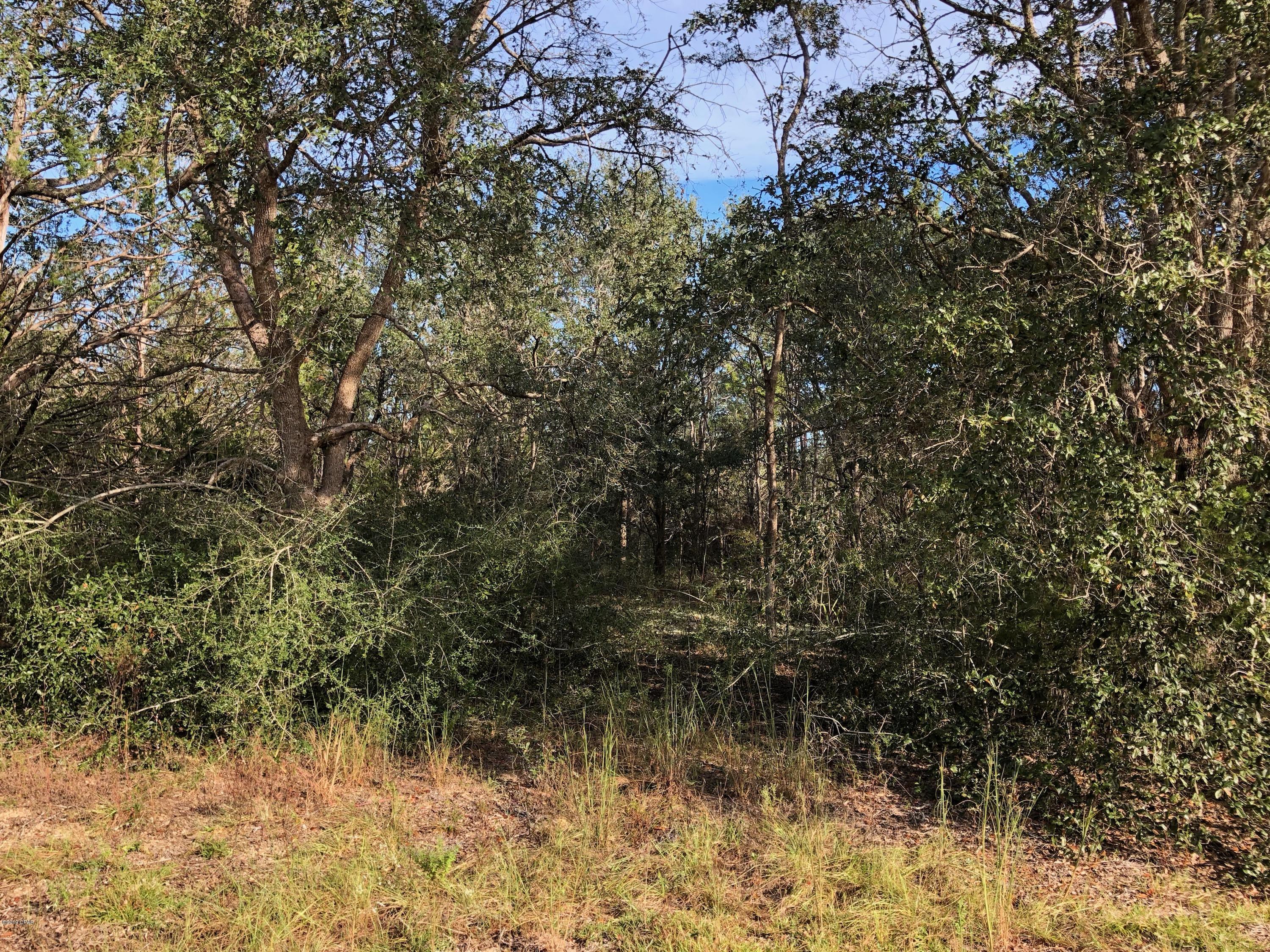 Compass Lake Hills Unit 1 - Land