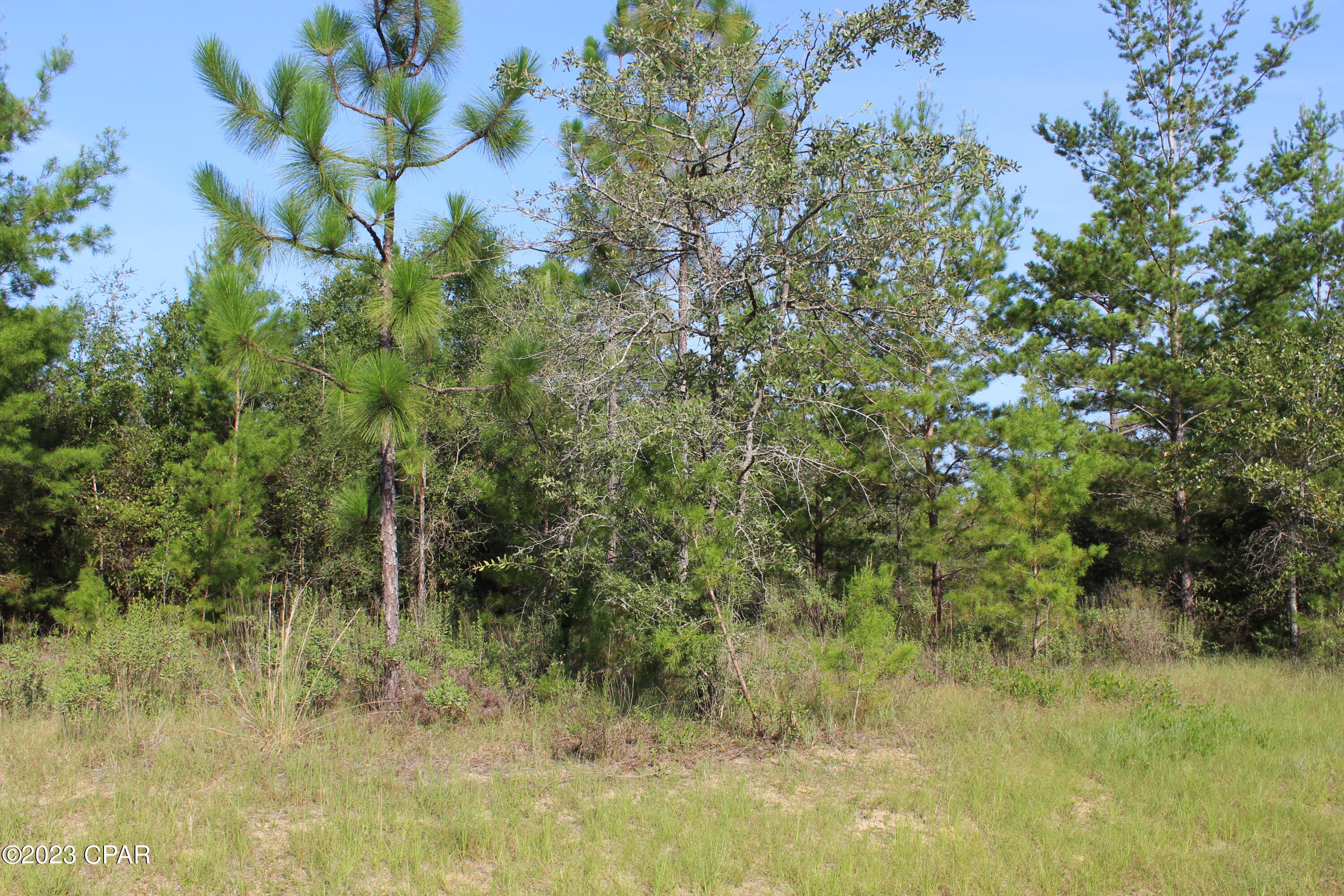 This over-sized, wooded homesite is located in the Sunny Hills Neighborhood.  This Sunny Hills Unit is located in the very NE corner of Sunny Hills which is still fairly quiet, no neighbors yet.  Sunny Hills does not have an HOA, however, they do maintain their building restrictions, no build time requirements.  Sunny Hills' amenities include the Golf Course & Clubhouse, many churches, 26 lakes for your swimming and fishing pleasure.  Sunny Hills is only a short drive into either direction North or South for shopping in Chipley, Lynn Haven and cannot leave out our MOST BEAUTIFUL BEACHES--Panama City Beach.  So, Welcome to our Florida Mountains here in the heart of the Panhandle.
