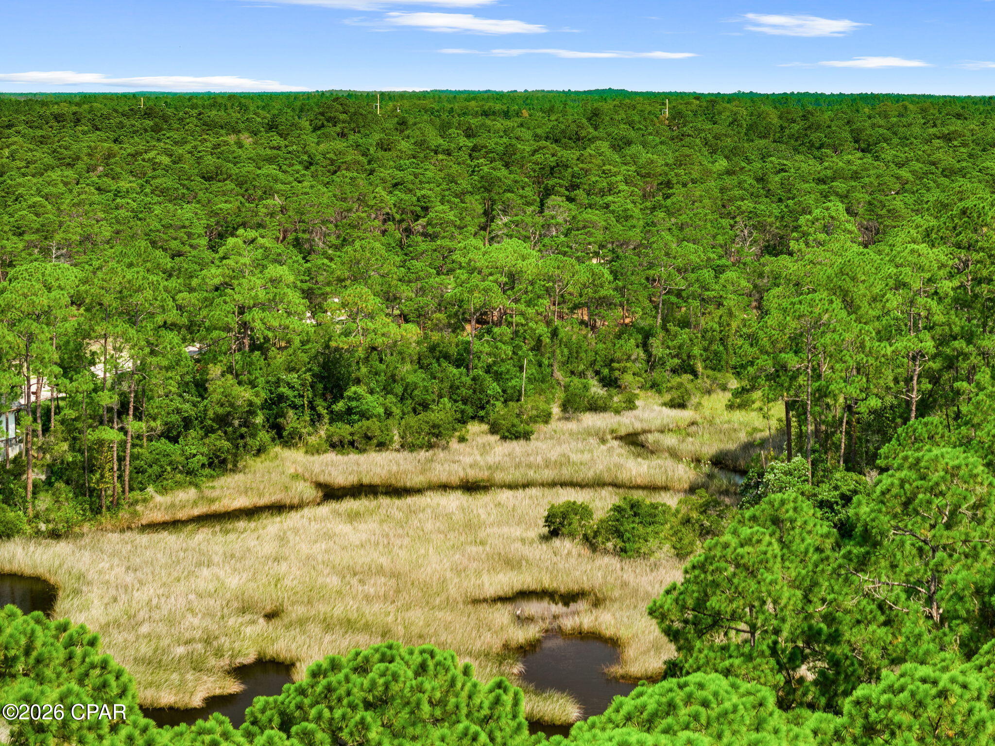 Wild Heron Phase XIII - Land
