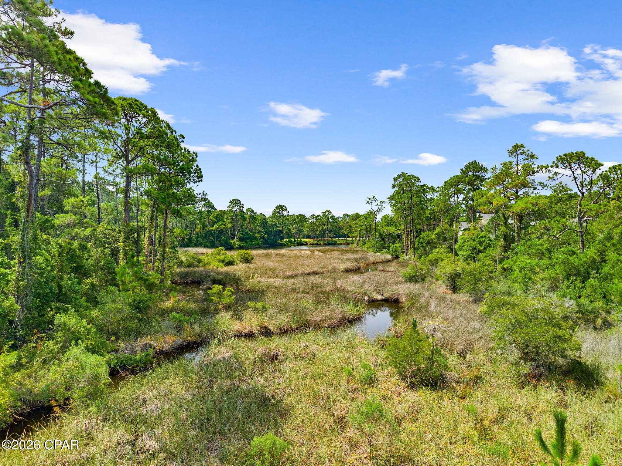 Wild Heron Phase XIII - Land