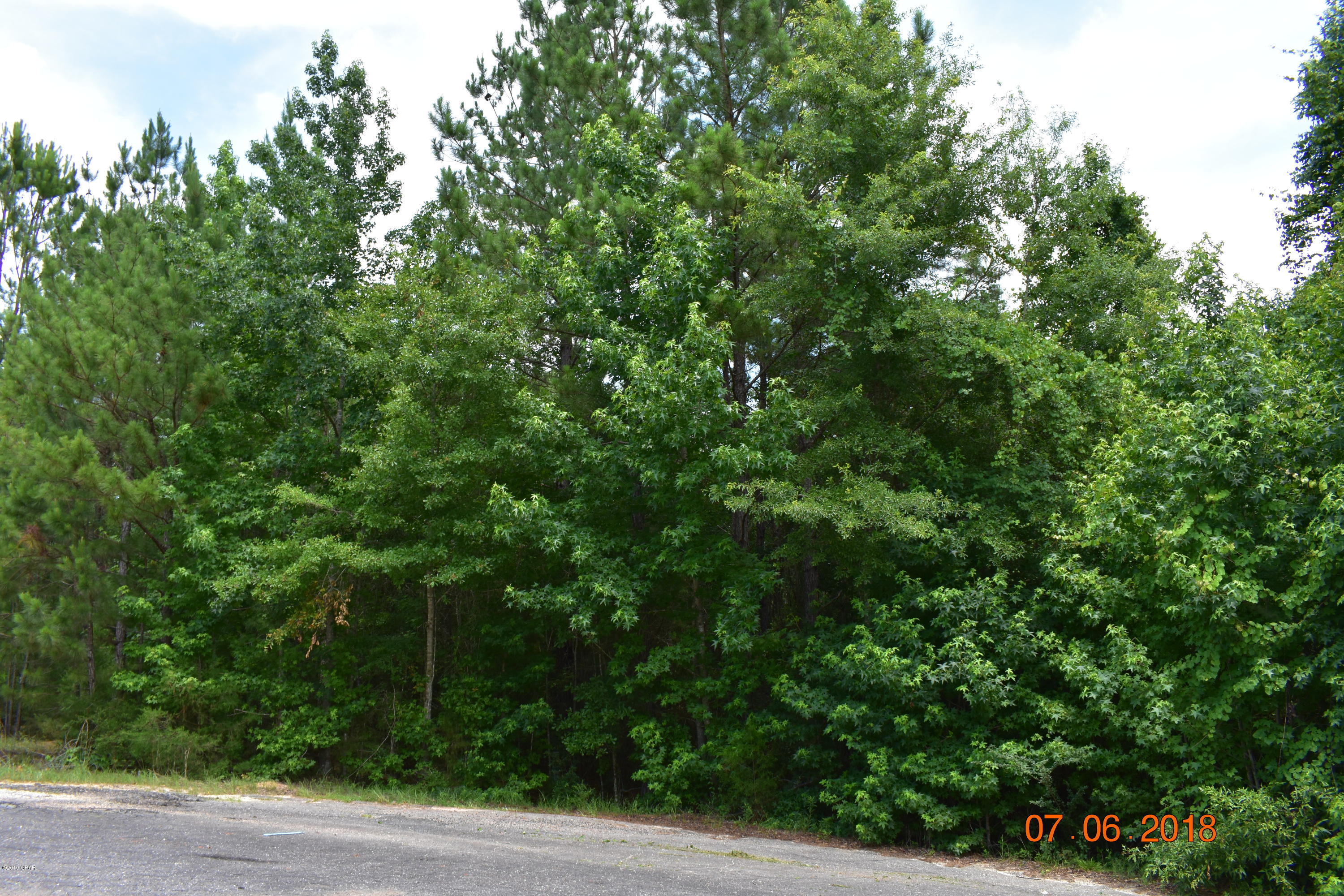 Valley Oaks - Land