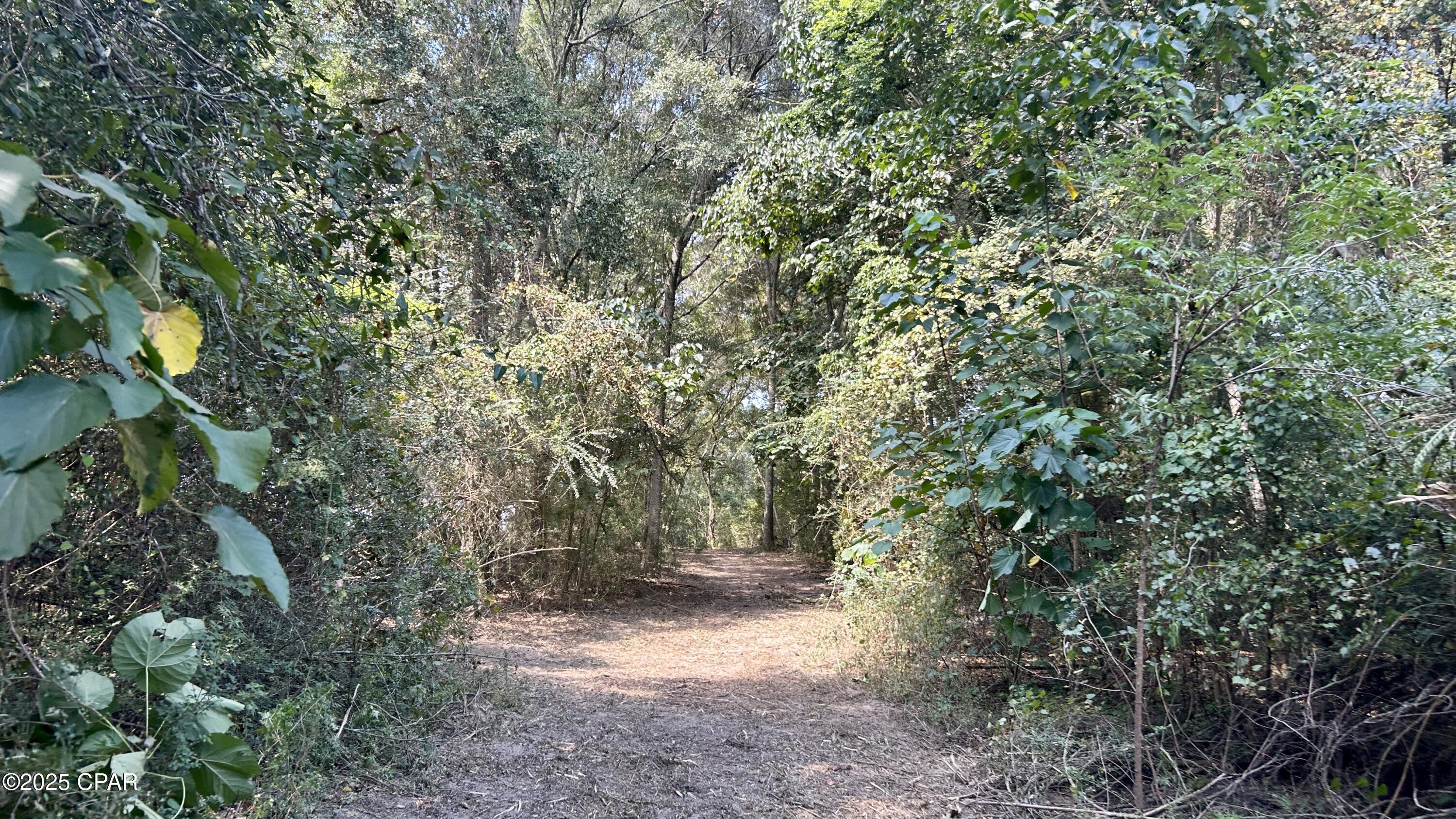 Other - Land