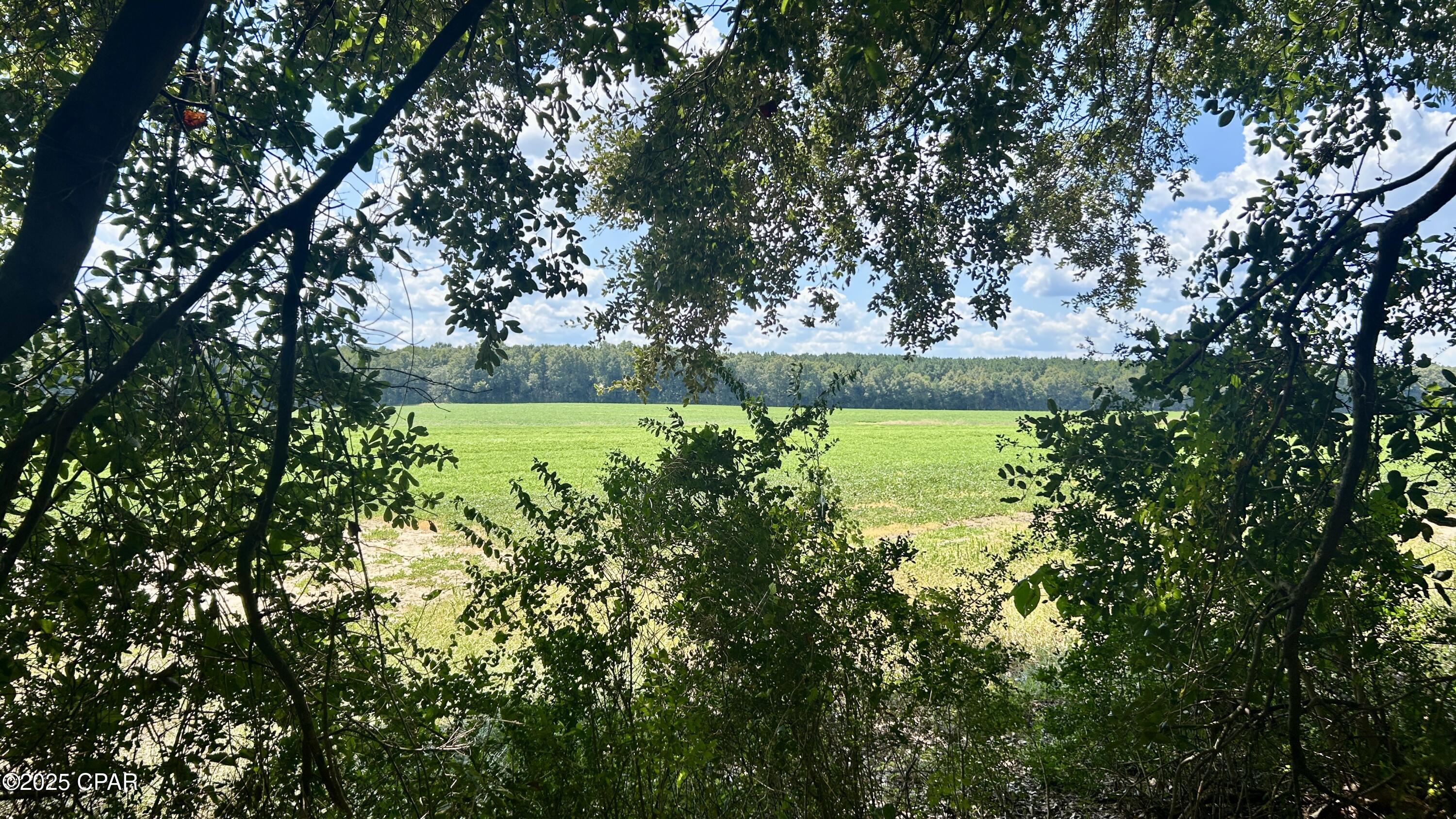 Other - Land