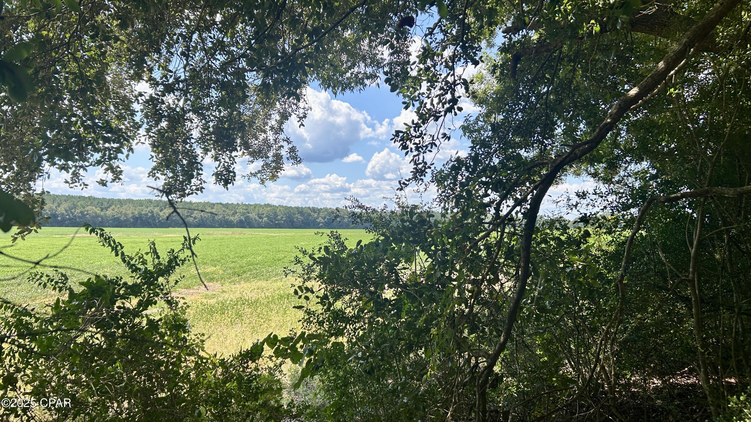 Other - Land