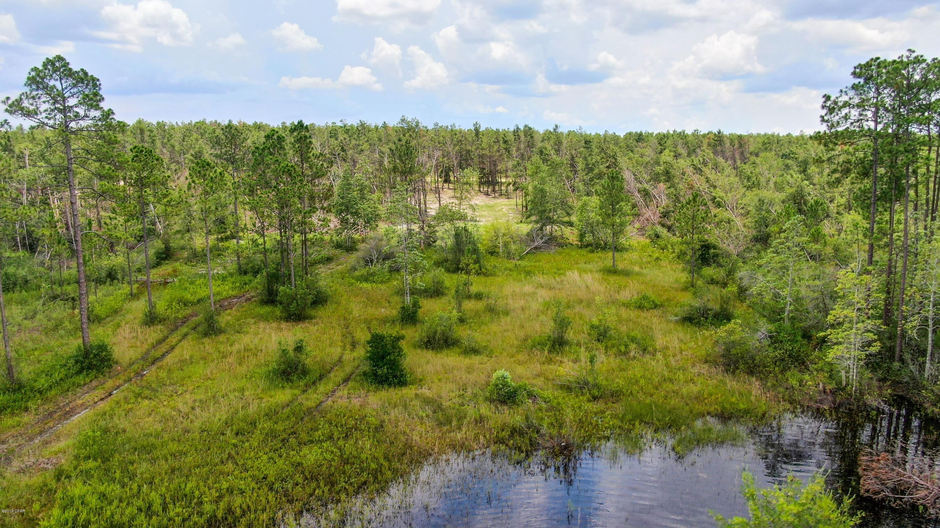 Long Lake Ridge - Land