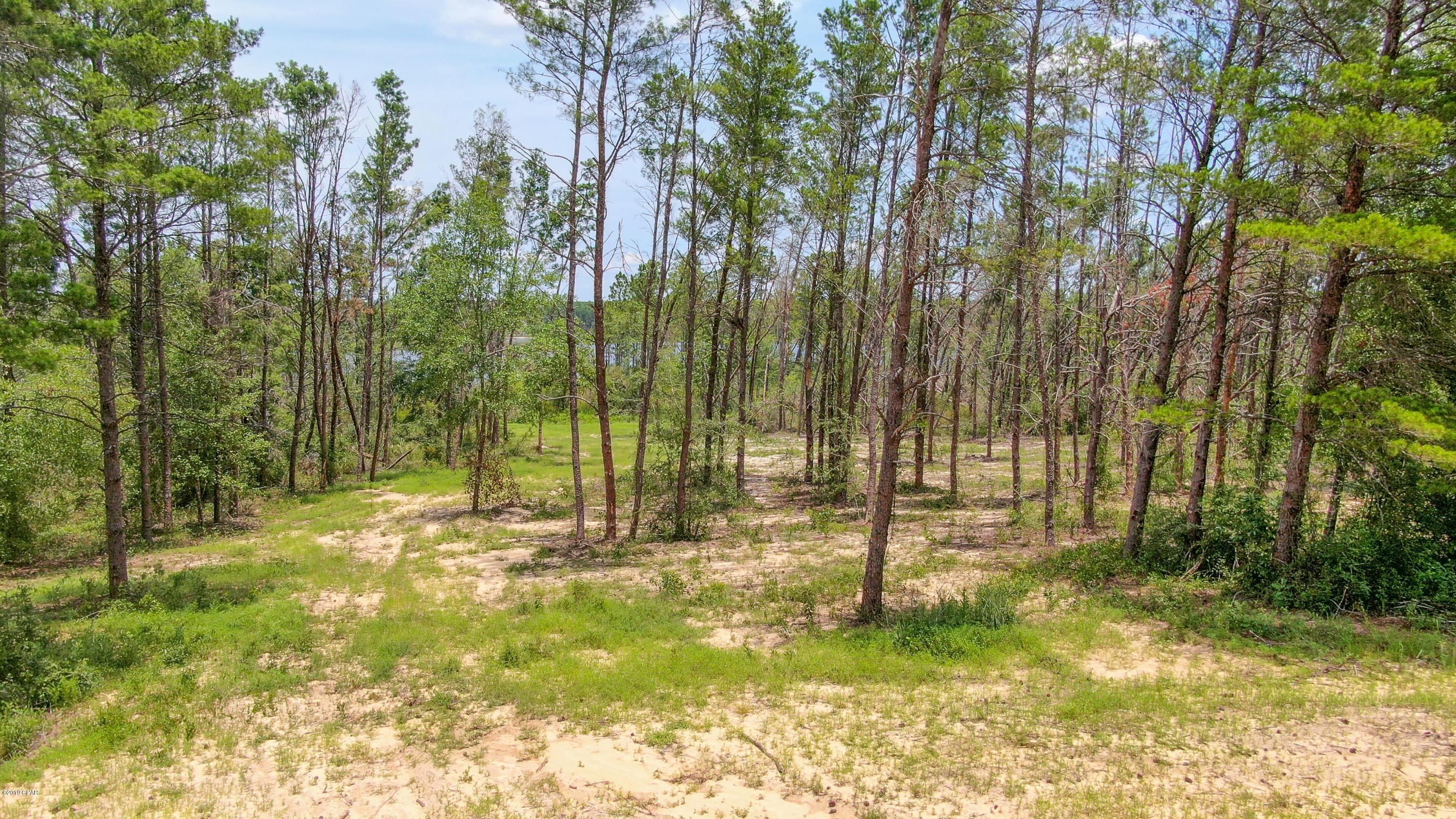 Long Lake Ridge - Land
