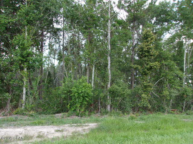 CURRENTLY UNDER CONTRACT, SELLER ACCEPTING BACKUP OFFERS - 21.85 Wooded Land. Great place to build a new home and good hunting. Located only 3 miles to town. Paved road frontage. Plenty of wildlife. Wooded with hardwoods and pines.  Get you house plans ready and don't miss out on this great spot of country living.