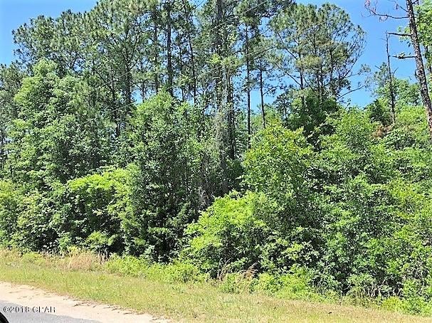 Beautiful wooded lot across the street from McCormick Lake. It has a mixture of native trees.    With lot ownership you have access to 2 lakes, clubhouse facilities, horseback riding, golf driving range, camping facilities, cabin rentals, and much more.  It has easy access to Panama City, FL home of some of the world's most beautiful beaches!