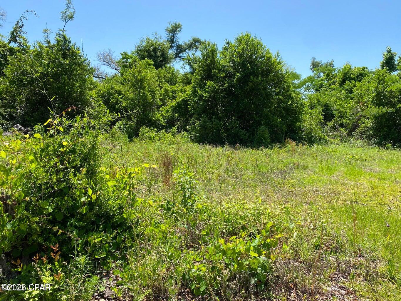 Indian Bluff - Land