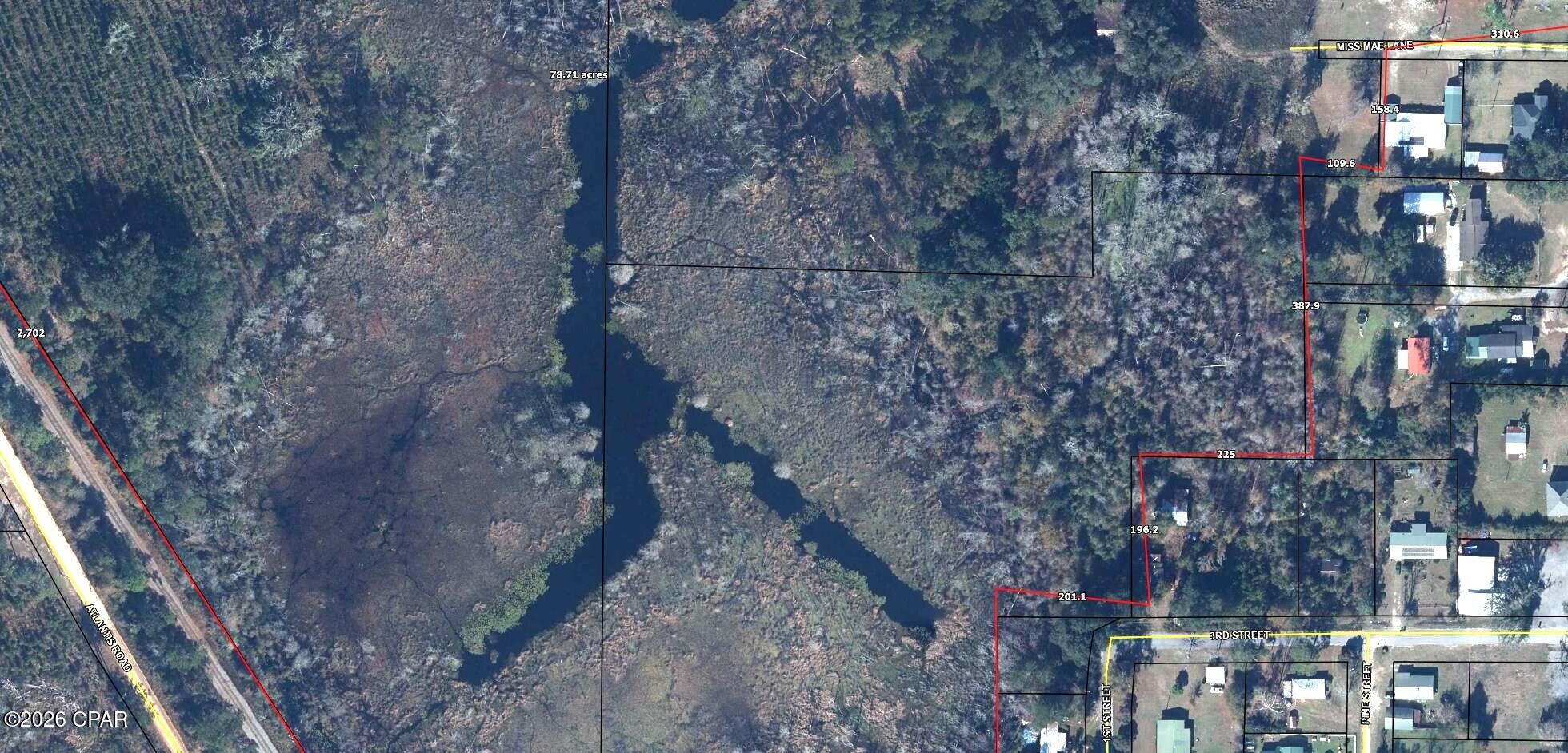 75 more or less acres in Cottondale planted in 2021 with loblolly pines. Rumoured to have a great frish pond and by looking at the aerial a large pond that probably has not been fished in a long time. There is currently a deer hunting lease and offers archery hunting only being in the city.