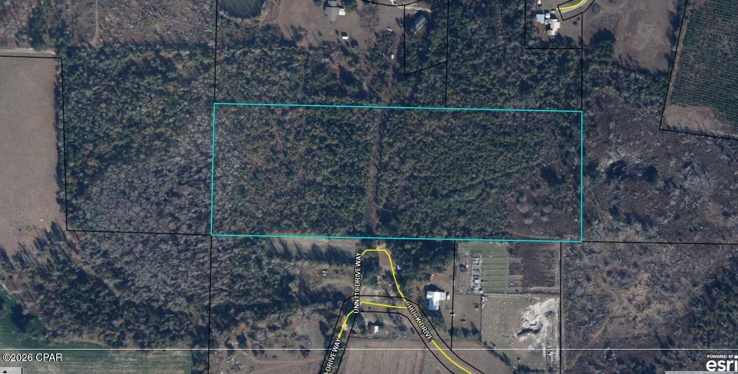 Discover the potential of this 16-acre wooded tract, conveniently located just 3 miles from Marianna and I-10. The property offers plenty of privacy while still being just minutes from shopping, dining, schools, and other local amenities. With approximately 16 acres of natural wooded land, this property offers a great opportunity for recreational use, hunting, or a private investment property.

Please note: The property currently does not have legal access. Buyers are encouraged to perform their own due diligence regarding access, easements, utilities, zoning, and intended use.