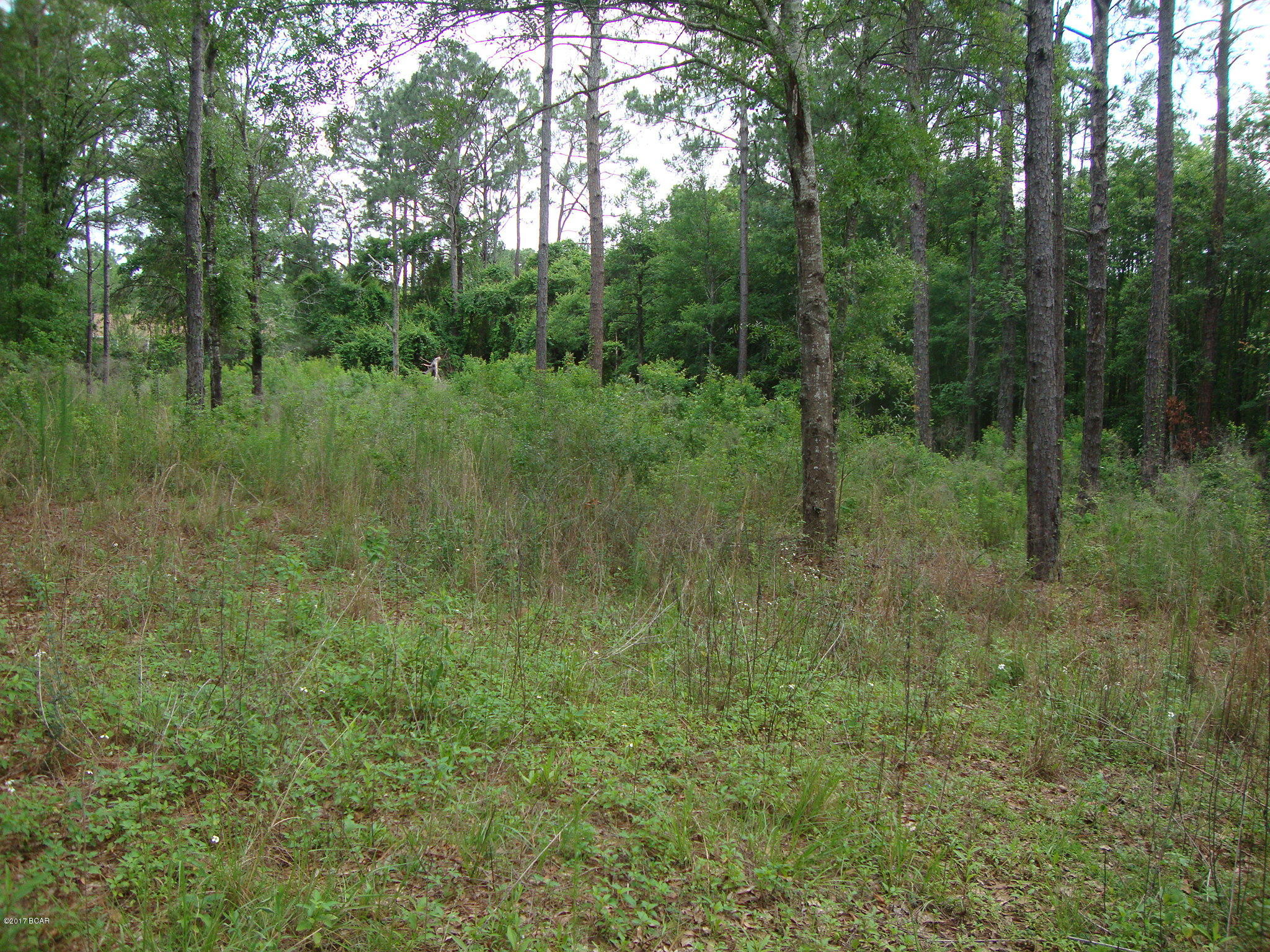 Mostly cleared sloping. 1.5 Acres. Located at the deadend of the road. Convenient to shopping, schools, churches, doctors and hospital. Some low lying. Build you new home today.