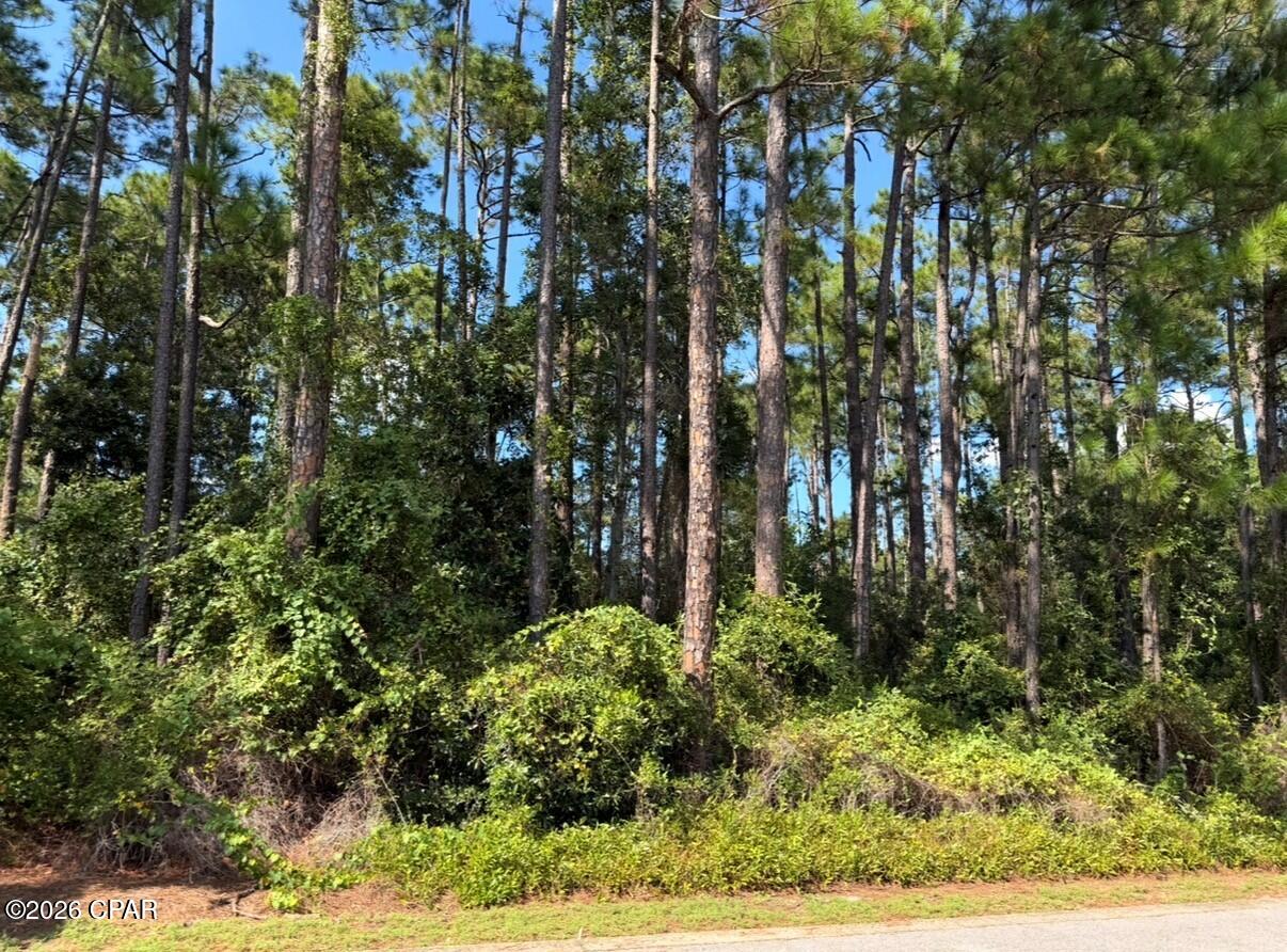 This exceptional lot offers the perfect opportunity to build your dream home in a peaceful coastal setting. Located in the desirable X Flood Zone, providing added peace of mind. Enjoy the convenience of being within walking distance of the bay, while Cessna Landing Park and Boat Launch and Pilcher Park Boat Ramp are just minutes away, making it easy to spend your days on the water. You're also only minutes from Ed Walline Beach Access and the world-famous 30A corridor, where you'll find an incredible selection of shopping, dining, entertainment, and the beautiful white sand beaches that make this area so sought after. The property is also conveniently located near the site of the proposed 10,000-seat amphitheater, an exciting planned addition to the area that could further enhance nearby entertainment and amenities if completed. Whether you're planning a primary residence or second home, this is a rare opportunity to secure one of the last available parcels in this desirable community.