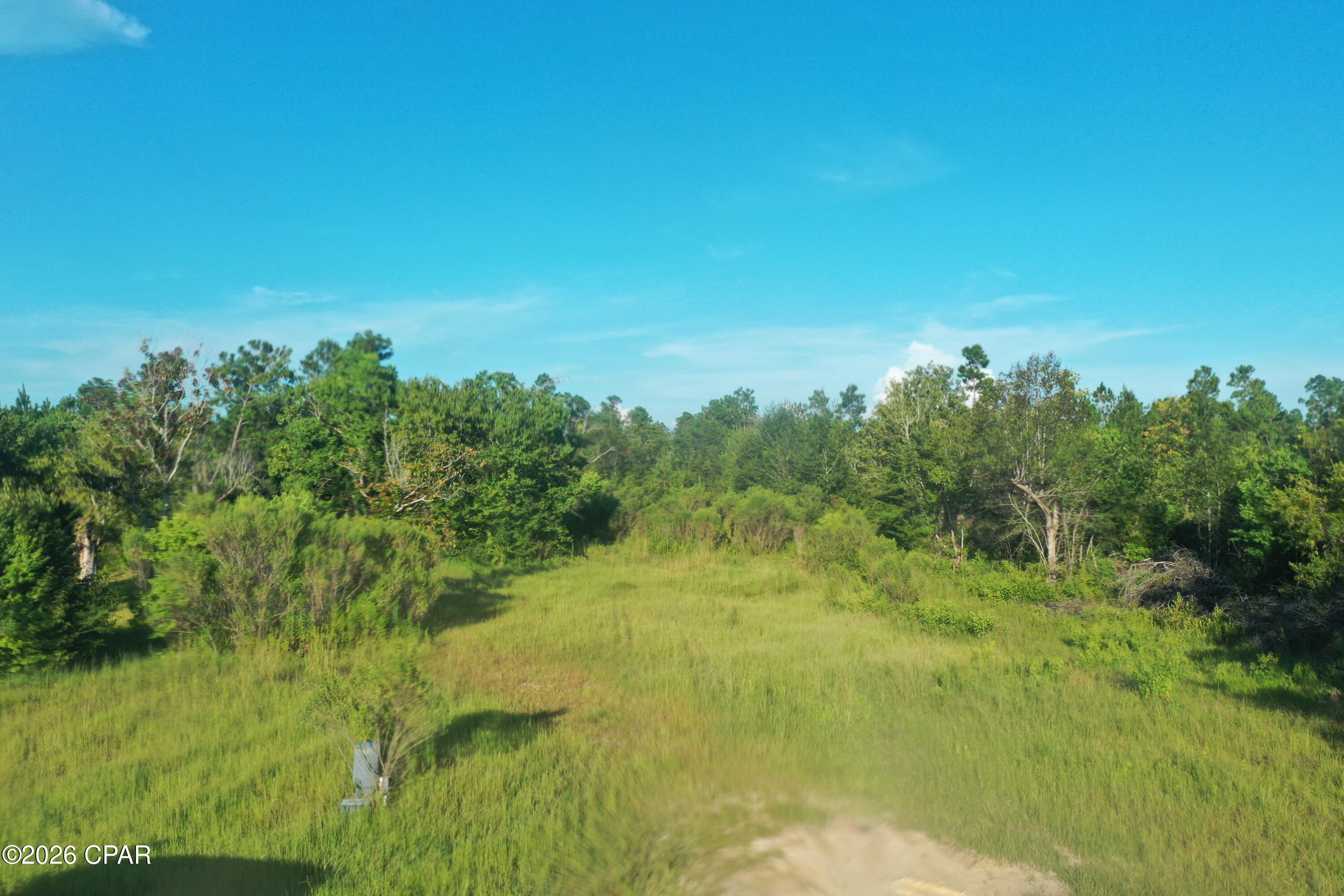 Discover the perfect setting for your new construction or mobile home on this cleared 1-acre lot. Some fill dirt was added during clearing, and a newer septic tank was installed within the last five years. A power pole is already in place, along with a well that may need a new motor. Several mature trees remain, providing natural beauty and shade. Located just off Highway 231 in a peaceful rural area surrounded by farmland, yet only 11 miles from shopping, grocery stores, and other conveniences. Enjoy country living without being too far from town!