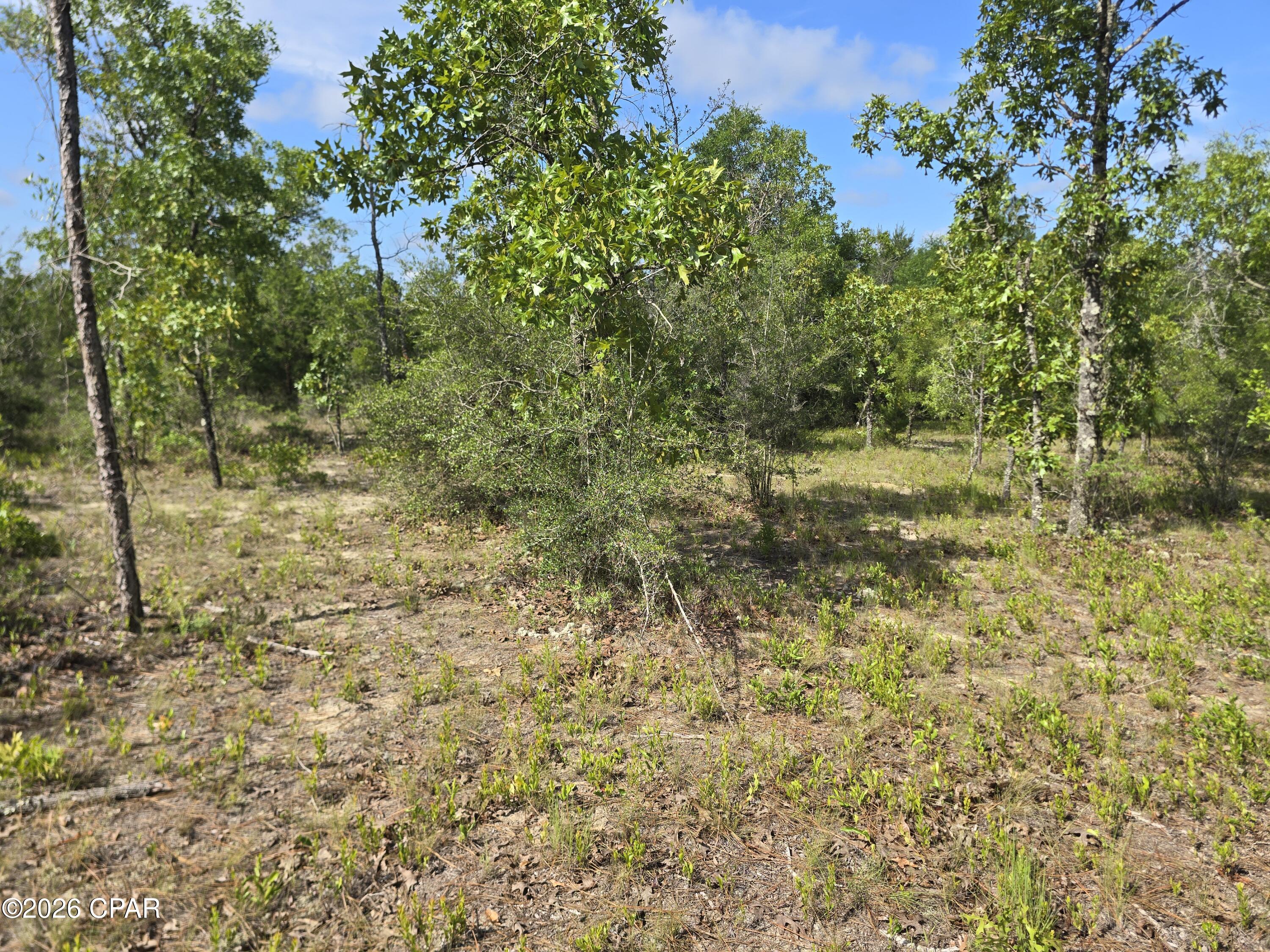 Sunny Hills Unit 6 - Land