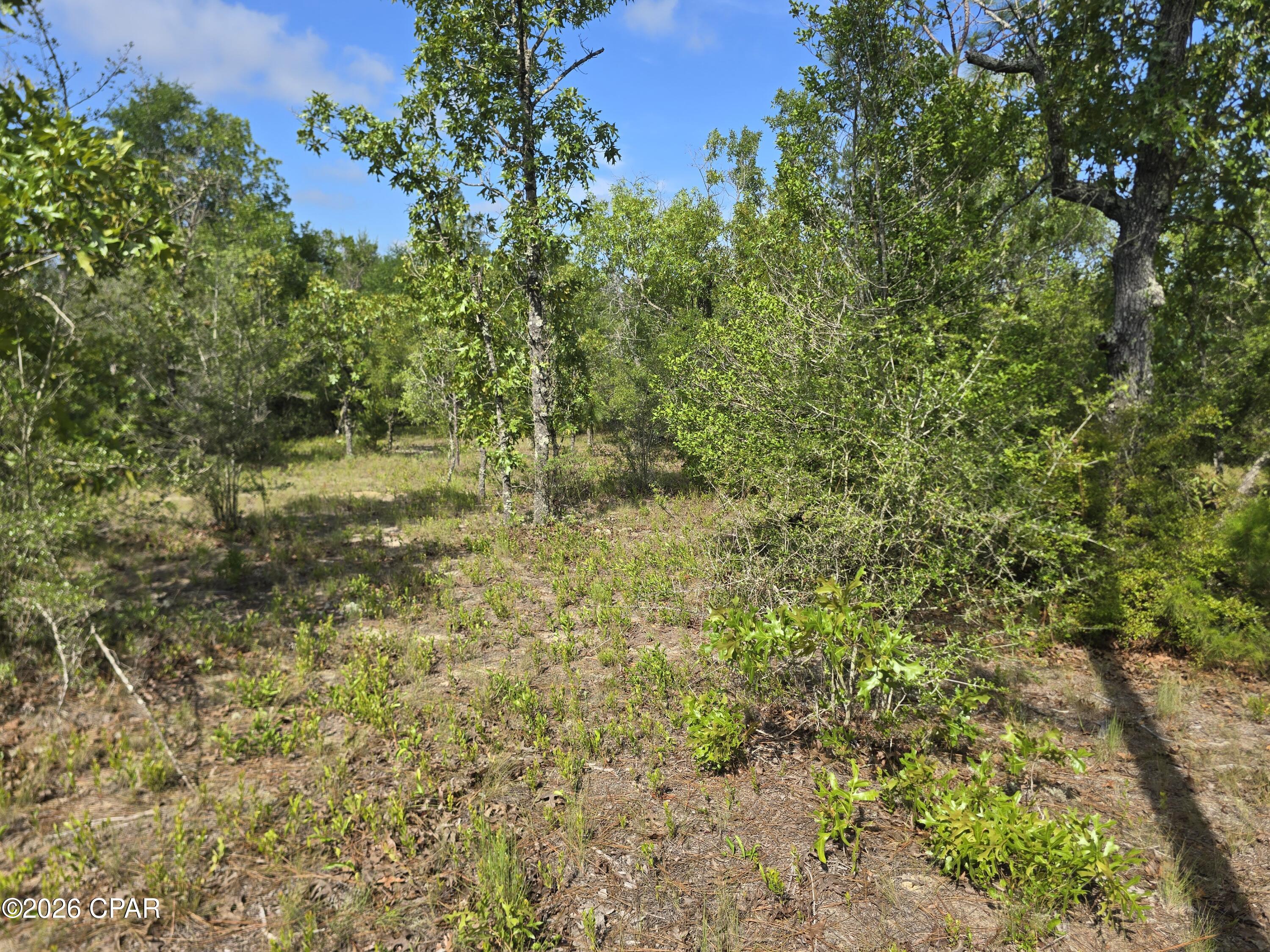 Sunny Hills Unit 6 - Land