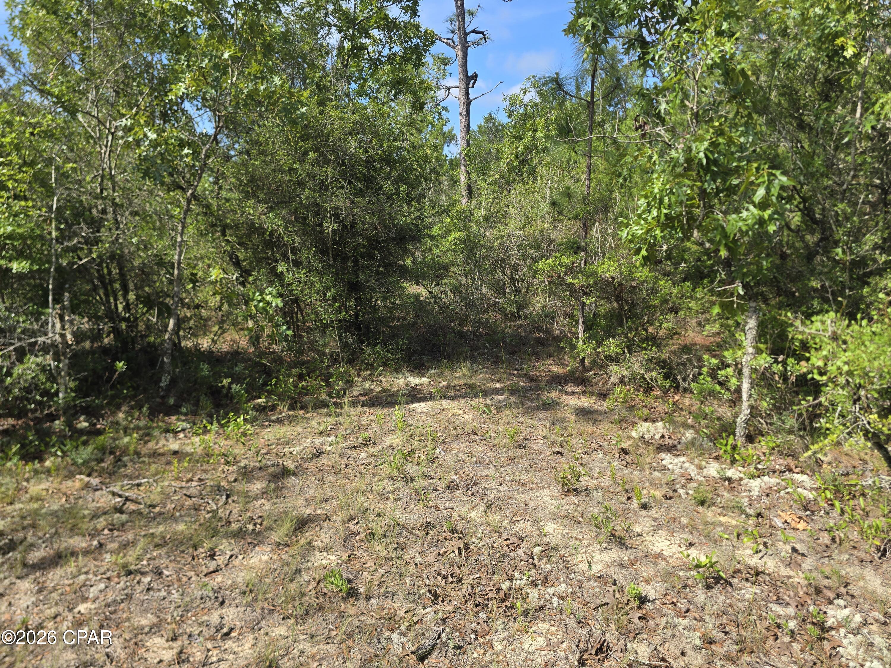 Sunny Hills Unit 6 - Land
