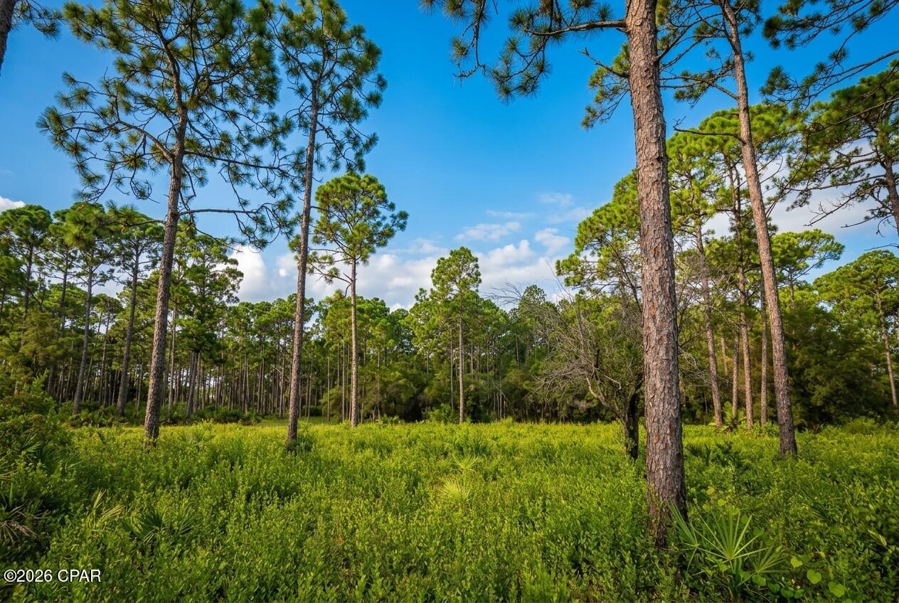 Almost Half-Acre High & Dry Cul-de-Sac Lot | Gated Trieste | Panama City Beach, FL
High-and-dry homesite that sits completely out of the flood plain and backs up to a designated conservation area with a conservation easement, offering excellent long-term privacy along the rear of the property. This secluded, almost half-acre lot is located on a quiet cul-de-sac in the exclusive gated community of Trieste.
Surrounded by mature trees and partially cleared, the property offers true privacy and tranquility. Enjoy watching deer feed in your backyard while soaking in the natural surroundings. The setting feels tucked away and peaceful, yet you are only a short drive from the crystal-clear waters and white sandy beaches of the Gulf -- while remaining well away from the busier tourist areas.
With homes in Trieste having sold for as high as approximately $1.6 million, this lot offers an excellent opportunity to build a high-end residence in an established gated neighborhood. This homesite is ready for your custom new construction. Build the coastal dream home you have been envisioning in one of Panama City Beach's most desirable gated communities, known for its elegant Mediterranean-style homes, privacy, and quiet residential feel. A rare high-and-dry lot in Trieste that combines seclusion, conservation-backed privacy, and convenient access to the beach.
