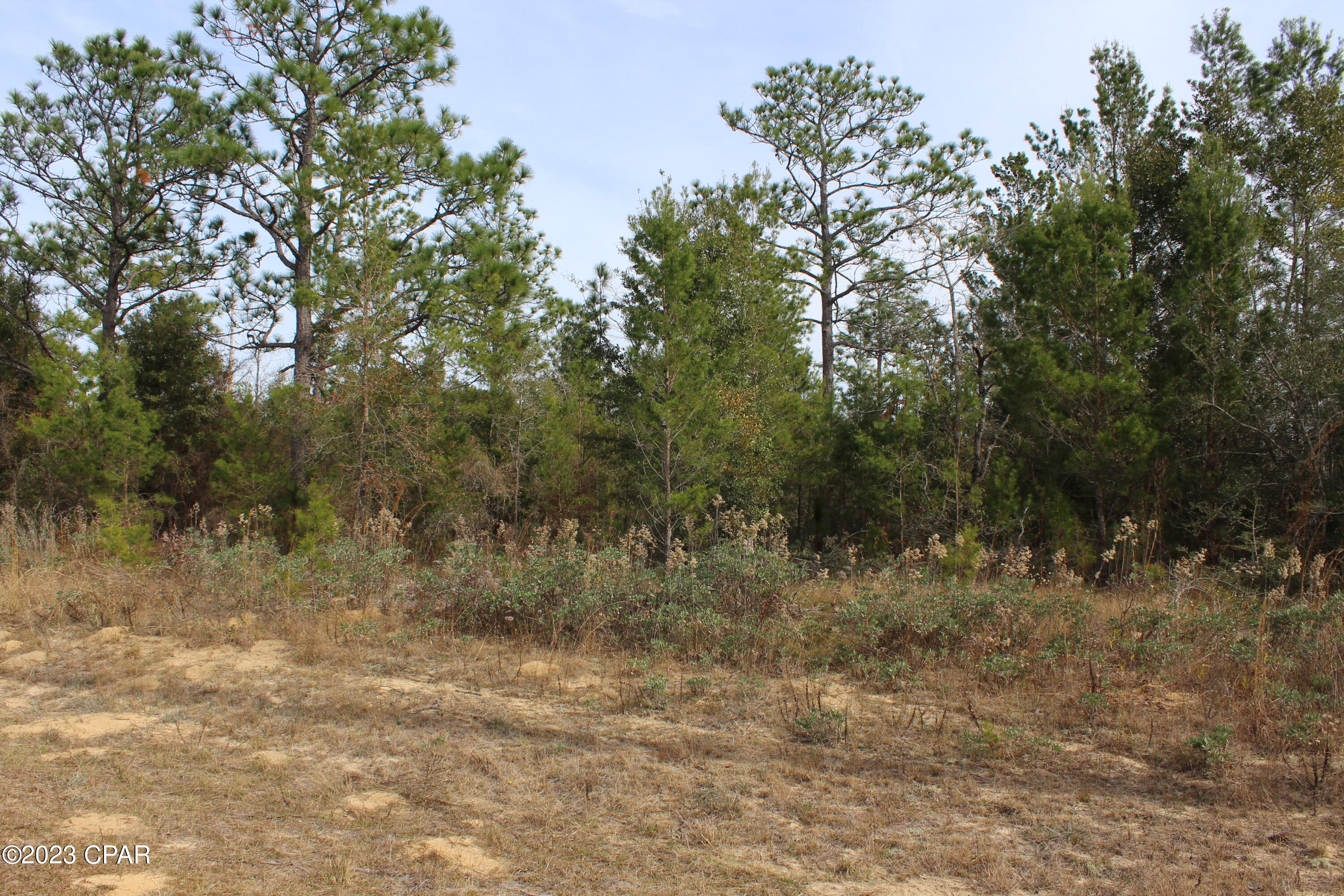 Sunny Hills Unit 2 - Land