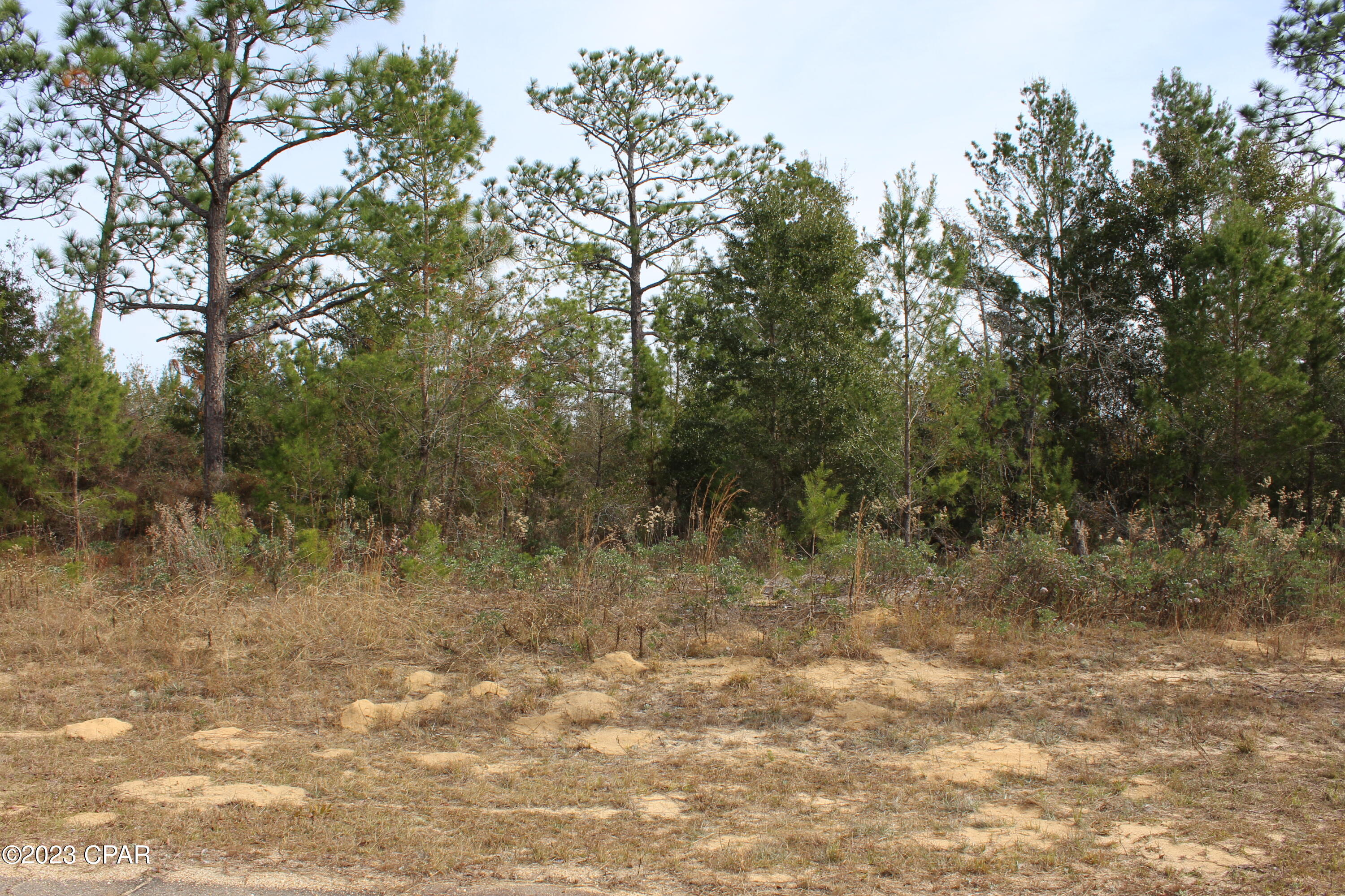 Sunny Hills Unit 2 - Land