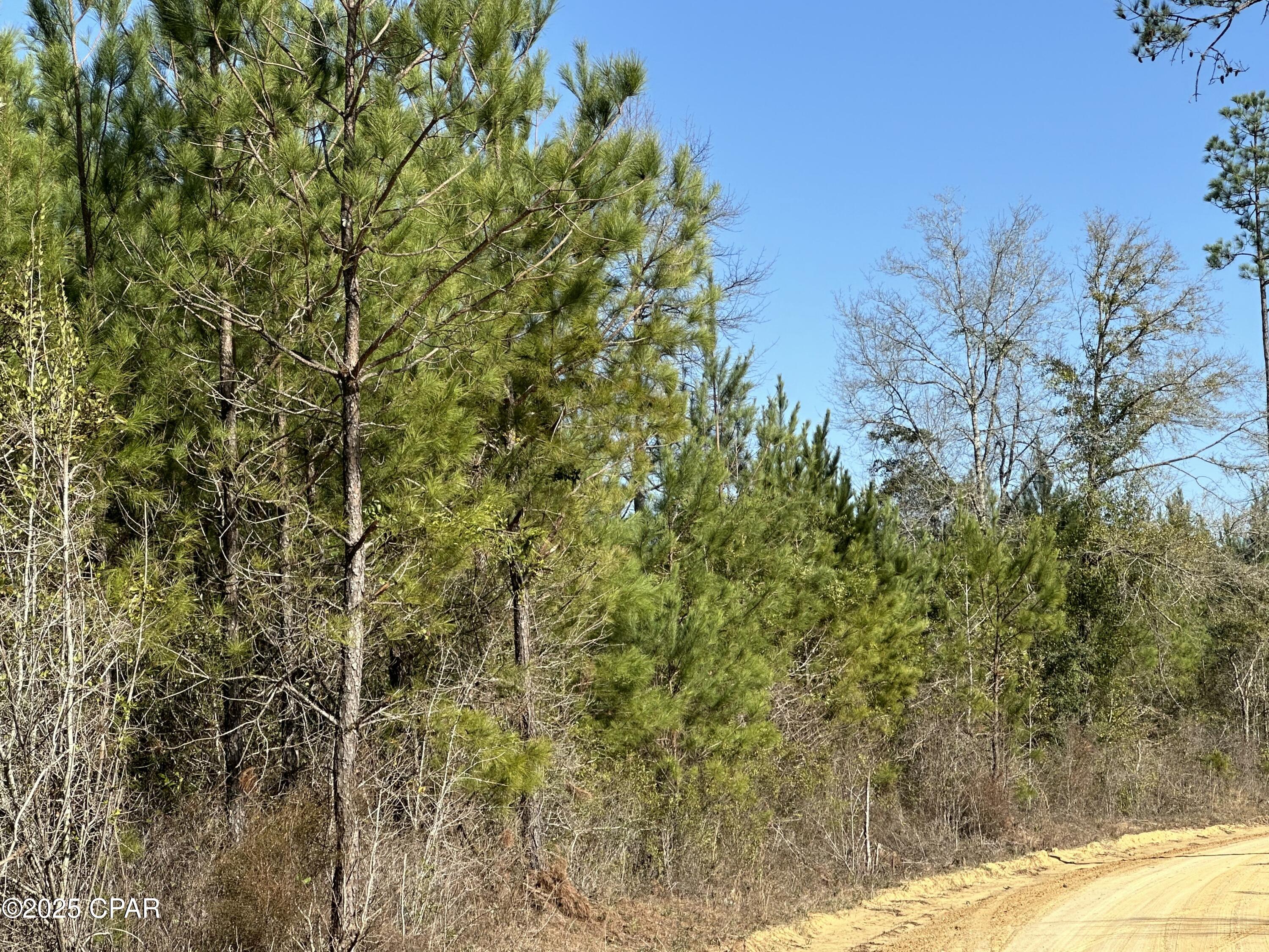 No Named Subdivision - Land