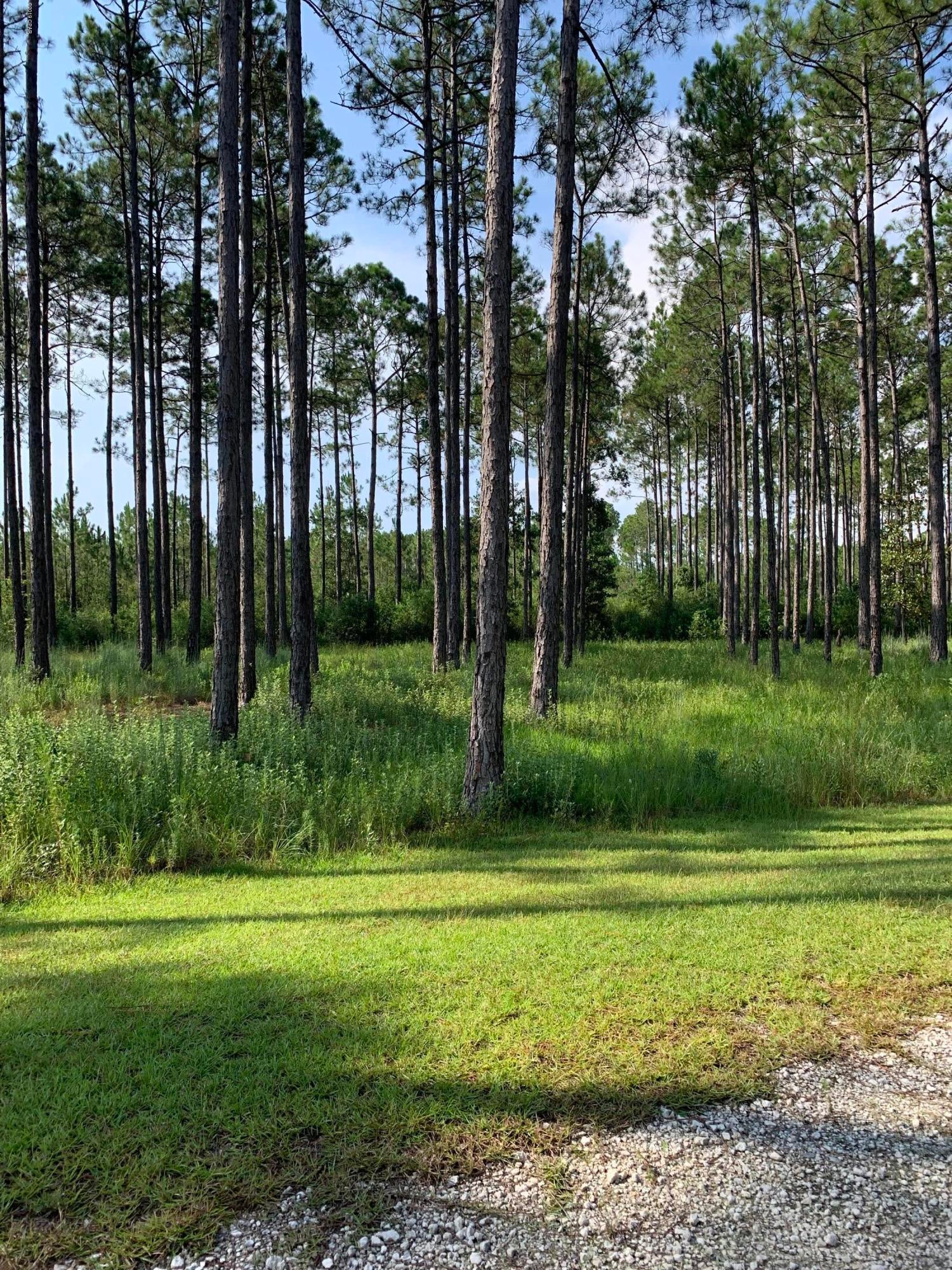 Rivercamps On Crooked Creek Ph 3 - Land