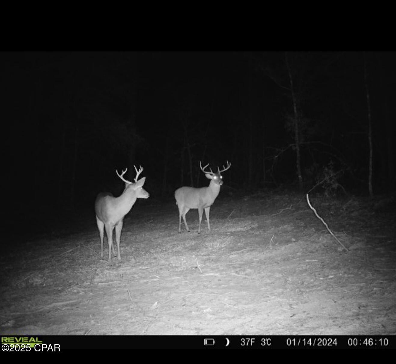 Goshun Creek Acres - Land