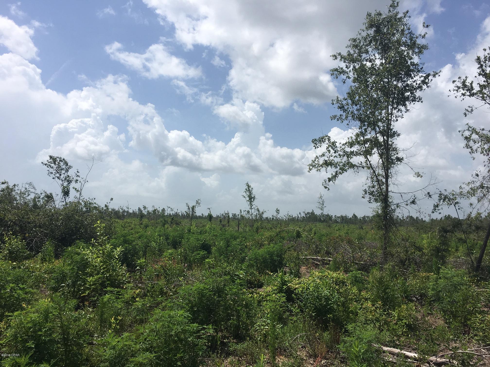 84 ACRES with 1/2 mile frontage on hwy 73 S, all high and dry, pretty flat, Chipola loamy sand  not far from Chipola River. Recently had damaged timber removed and now cut over and ready to replant, clear for row crop or your choice. $1650 per acre.