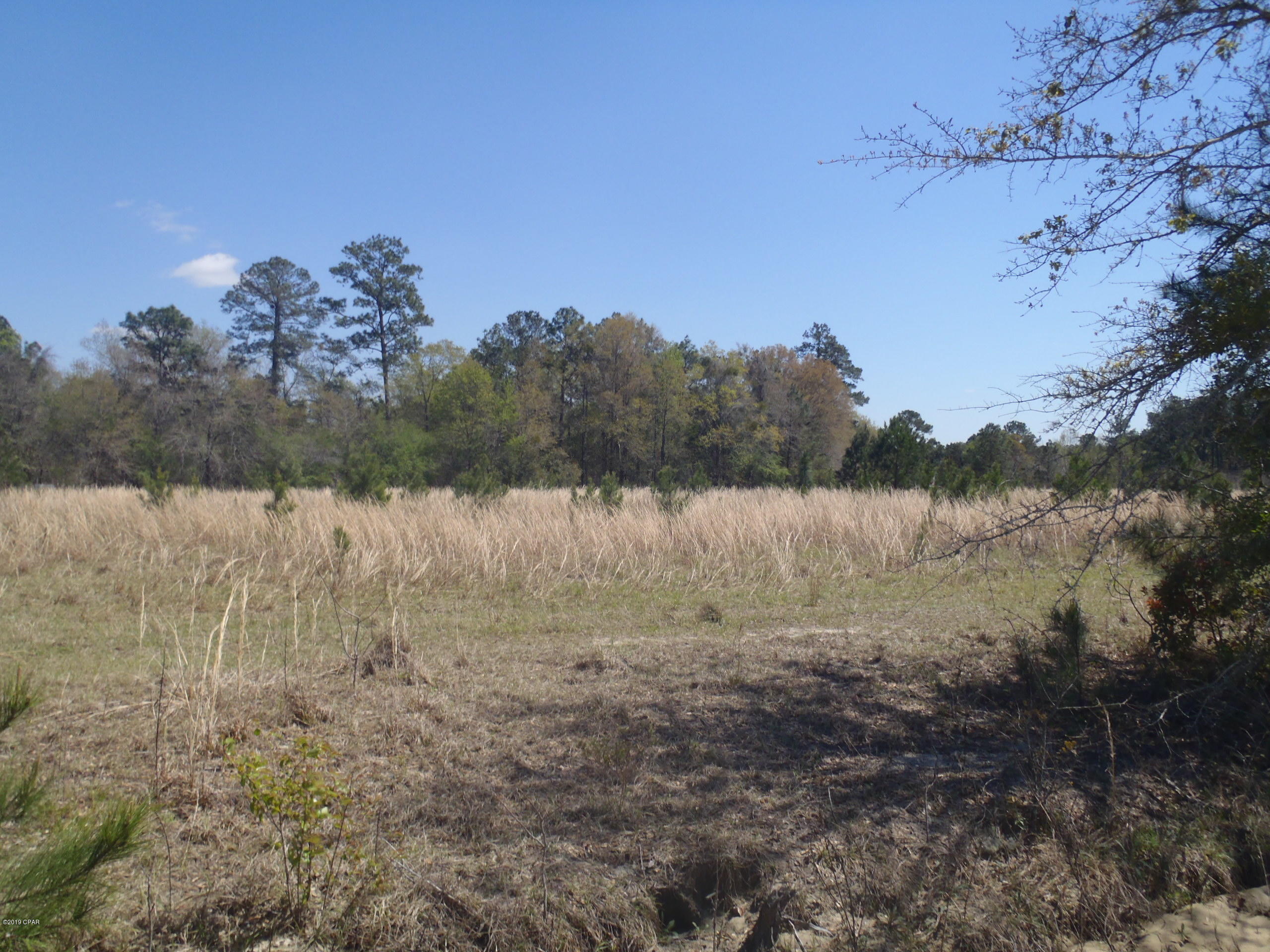 20 ACRES MORE OR LESS!!  MOTIVATED SELLER!!  View the property and make your offer today.  Looking for a quiet place to call your own. Whether you are tired of living in town or you are just starting out. This is a great opportunity to build or setup a mobile home. NO Restrictions, so bring your animals. Property has been cut over, Property within 7 miles of I-10, local shopping, restaurants and entertainment. Call listing agent to schedule an appointment to view property.