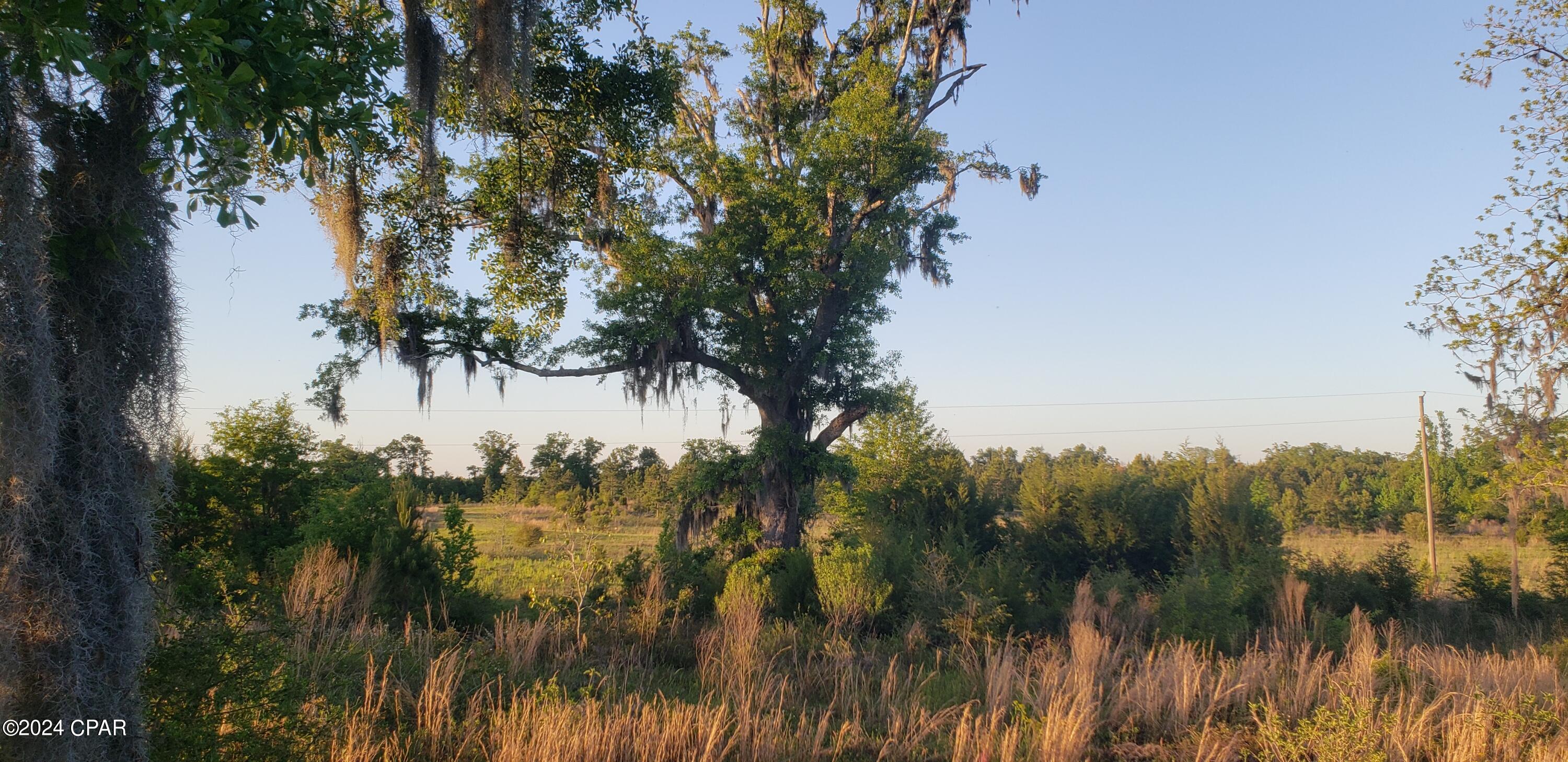 [No Recorded Subdiv] - Land
