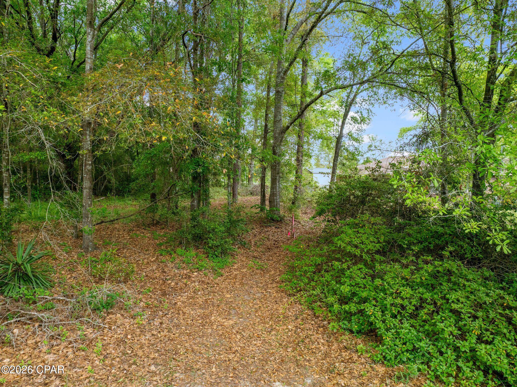 Dogwood Lakes - Land