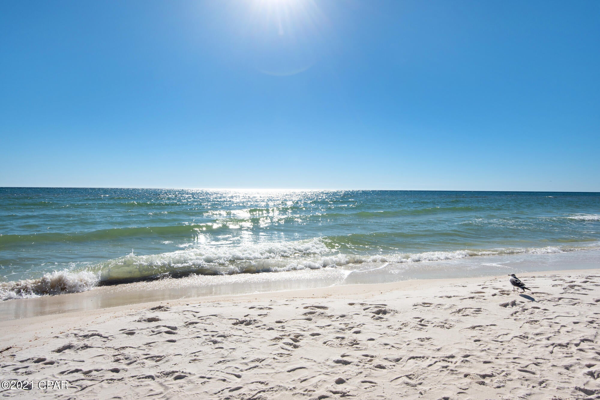 Shores Of Panama Phase I - Residential