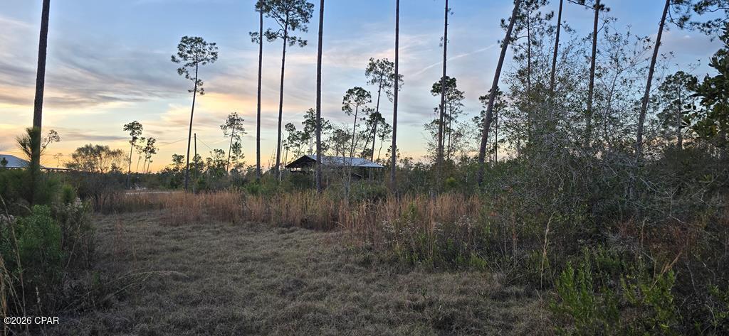 Discover a rare opportunity to own just under 10 acres of private, secluded land situated along a beautiful creek with direct Gulf access. This unique property includes wetlands, offering natural beauty, privacy, and abundant wildlife, tucked away, yet only 15 minutes from the beach. Improvements include a pole barn with power, a small bathroom, RV hookup, septic system, and a well, making it ideal for immediate use. Surrounded by nature, the land provides an ideal setting for a private estate, recreational retreat, or long-term investment. With over 290 creek front feet, you can enjoy kayaking, fishing, or boating right from your own backyard while still being close to coastal amenities, dining, and shopping. Despite its secluded feel, the property offers easy access from County Road 386, making it convenient for everyday use or future plans. If you're looking for space, privacy, and waterfront access without sacrificing proximity to the coast, this property truly offers the best of both worlds.