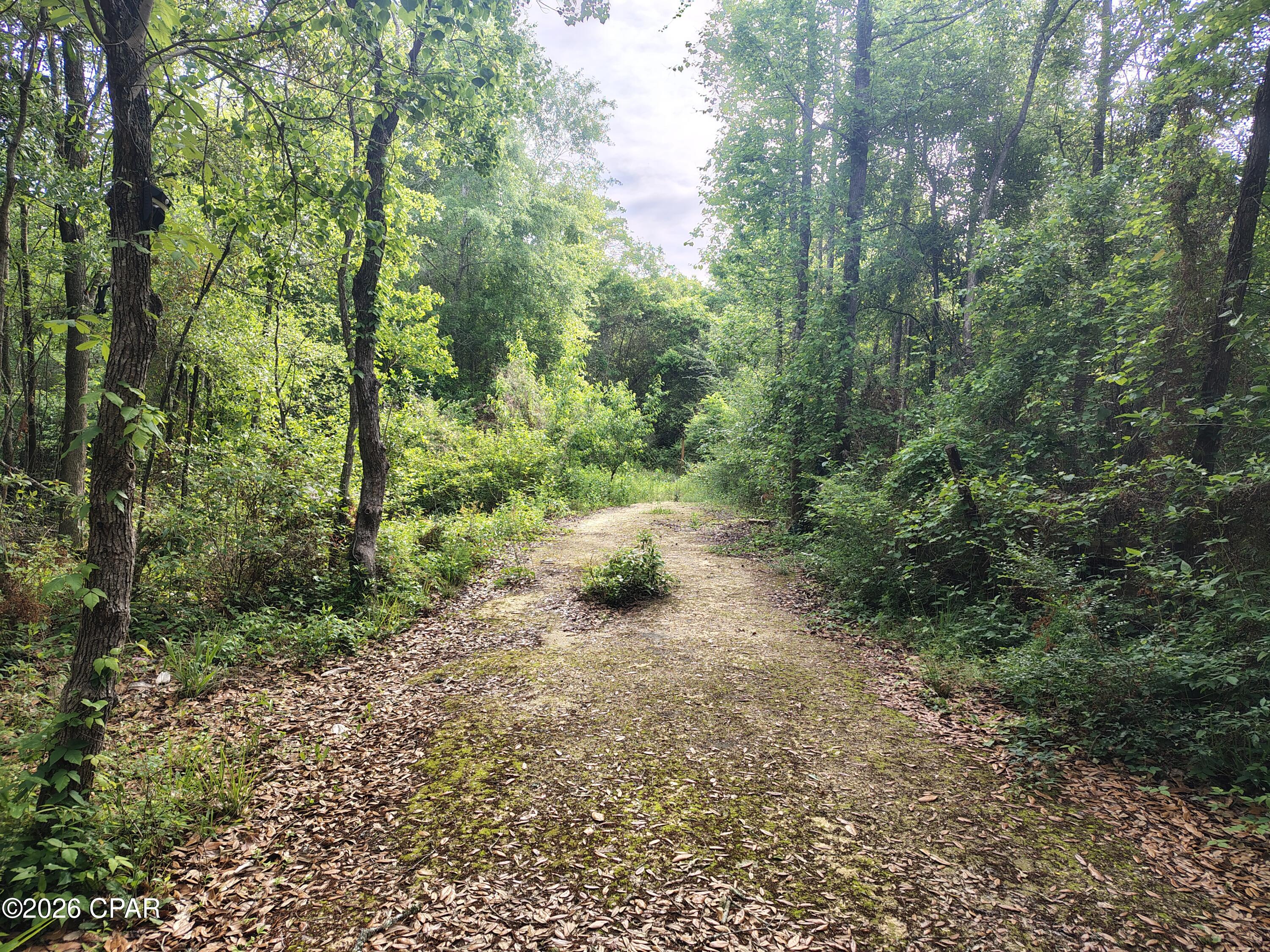 This stunning 8.7-acre property in Graceville, Florida, offers a unique blend of natural beauty and potential., even has fruit trees. With its proximity to Panama City Beach, you can enjoy the world's most beautiful beaches just an hour away, making this location perfect for both relaxation and adventure. The property features three unfinished charming tiny homes, providing an excellent opportunity for customization--whether you envision a cozy retreat, additional storage, or a unique living space. The small wet weather pond enhances the peaceful ambiance, perfect for camping or hunting, creating a serene escape in nature. even some fruit trees. With so much potential and natural charm, this property is a fantastic investment for anyone looking to create their own slice of paradise!
Owner says sheds cost her $50,000 each.